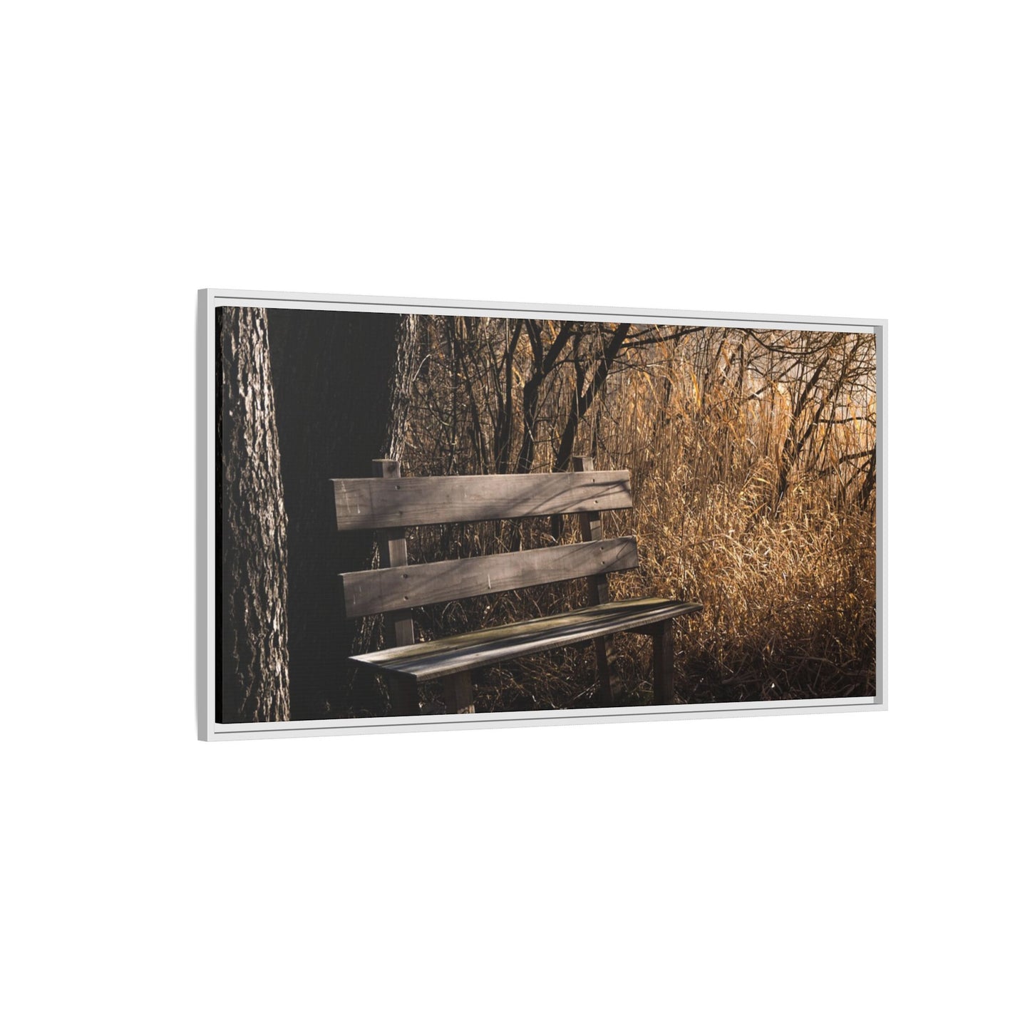 Framed Matte Canvas Print — Autumn Park Bench Photography