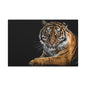 Majestic Tiger Canvas Art, Perfect for Animal Lovers