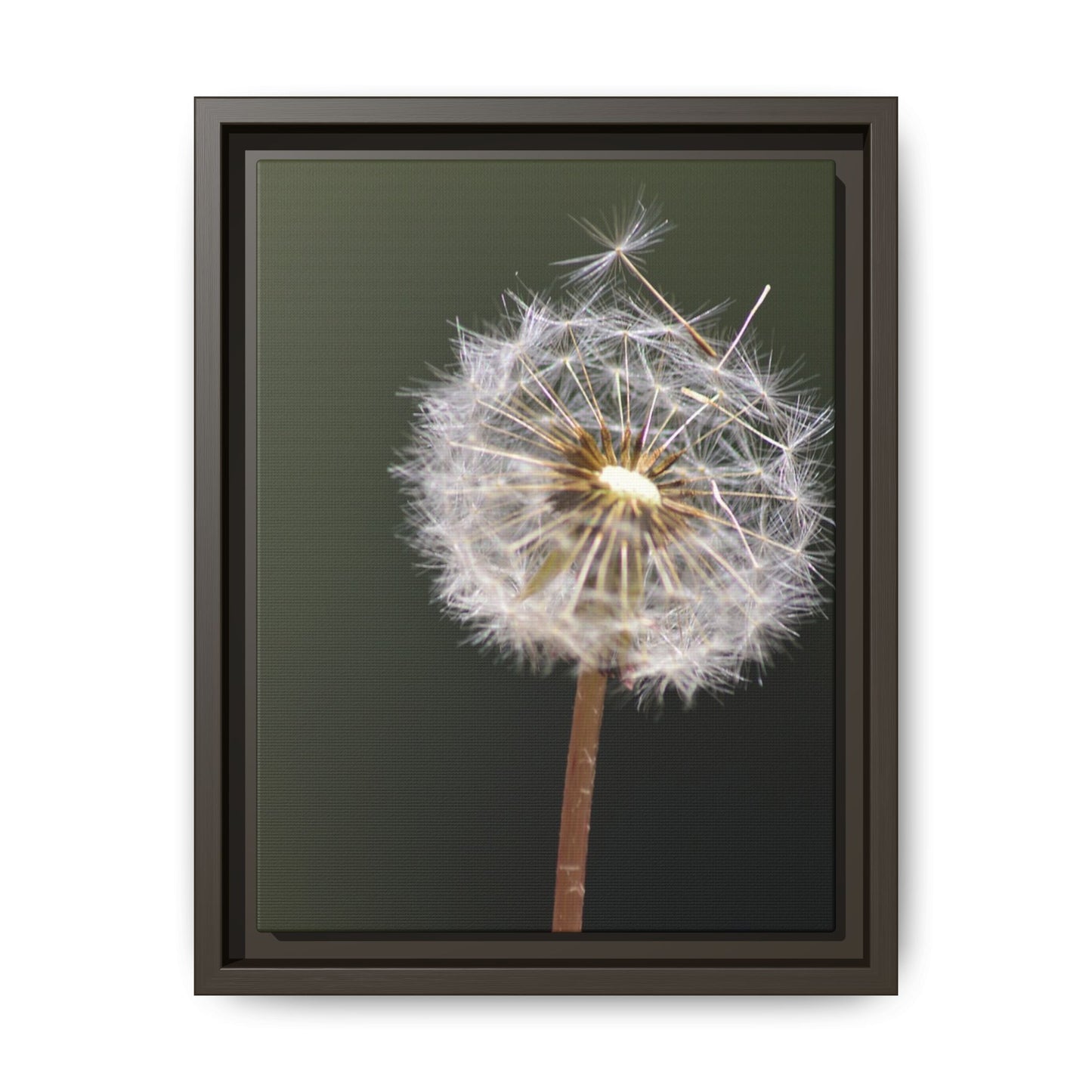 Framed Dandelion Canvas Print — Matte Botanical Wall Art
