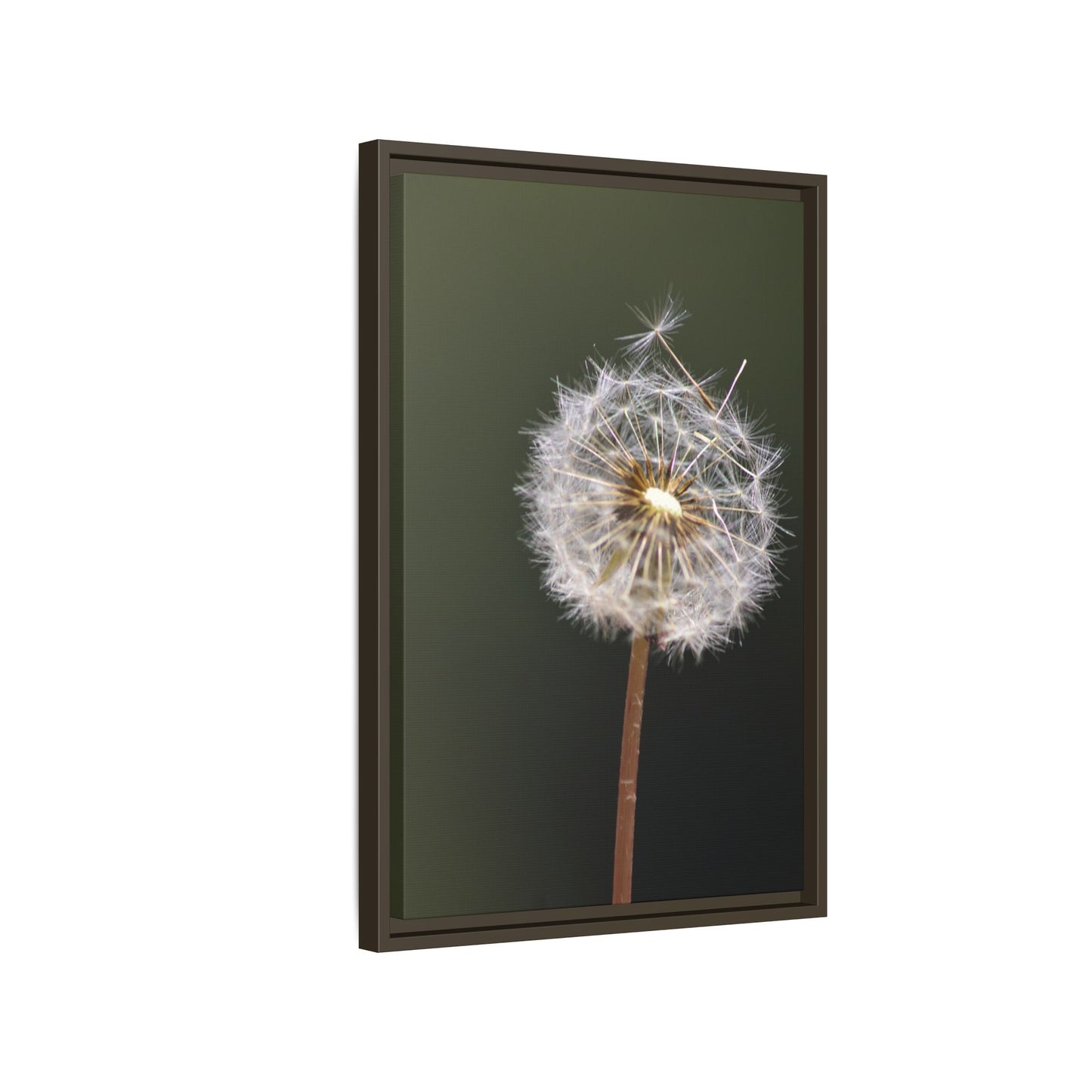 Framed Dandelion Canvas Print — Matte Botanical Wall Art