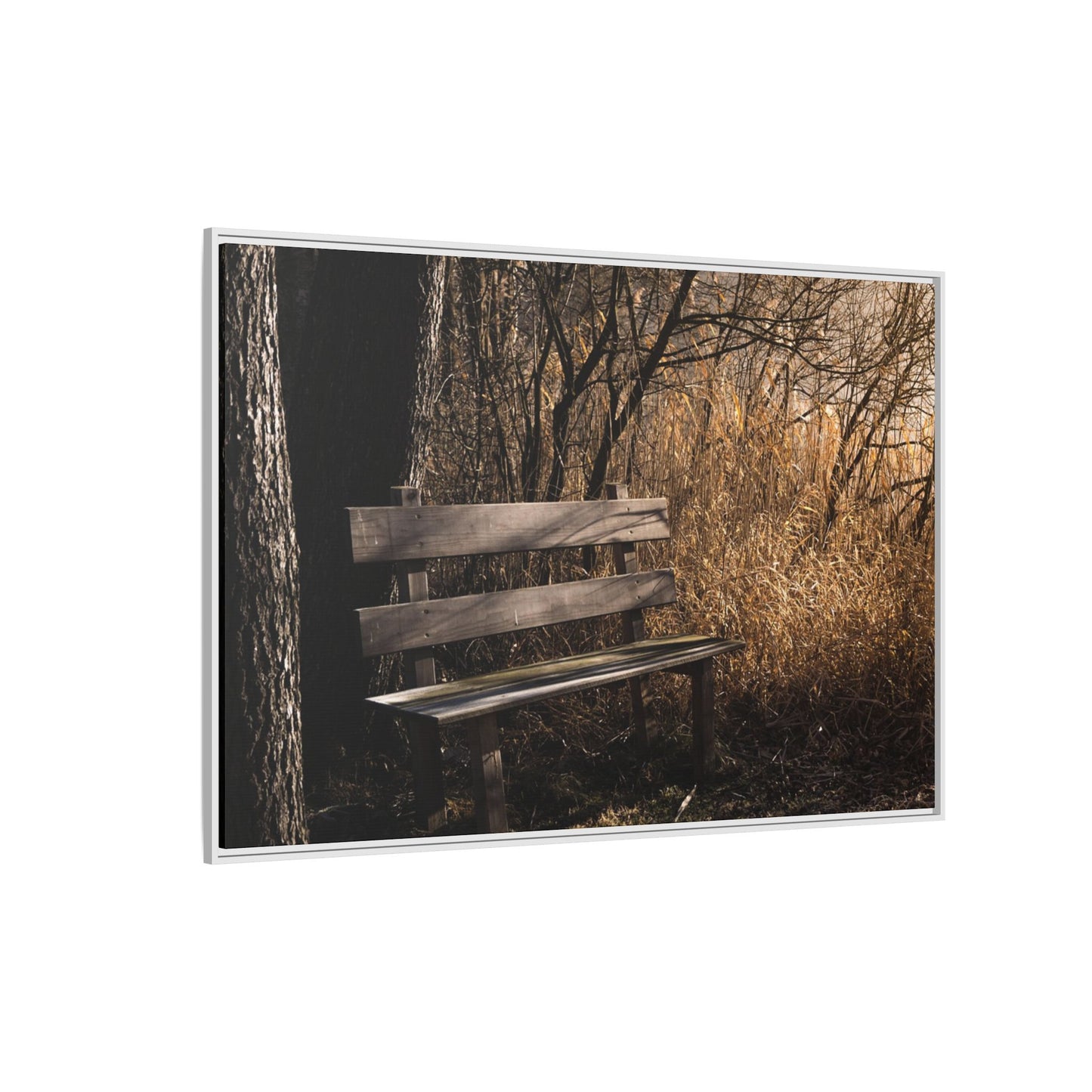 Framed Matte Canvas Print — Autumn Park Bench Photography