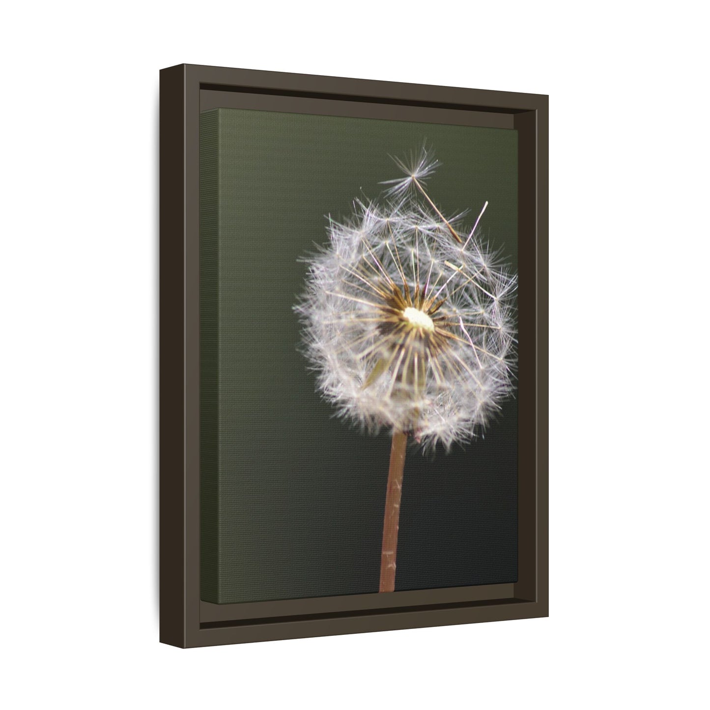 Framed Dandelion Canvas Print — Matte Botanical Wall Art