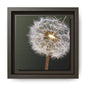Framed Dandelion Canvas Print — Matte Botanical Wall Art