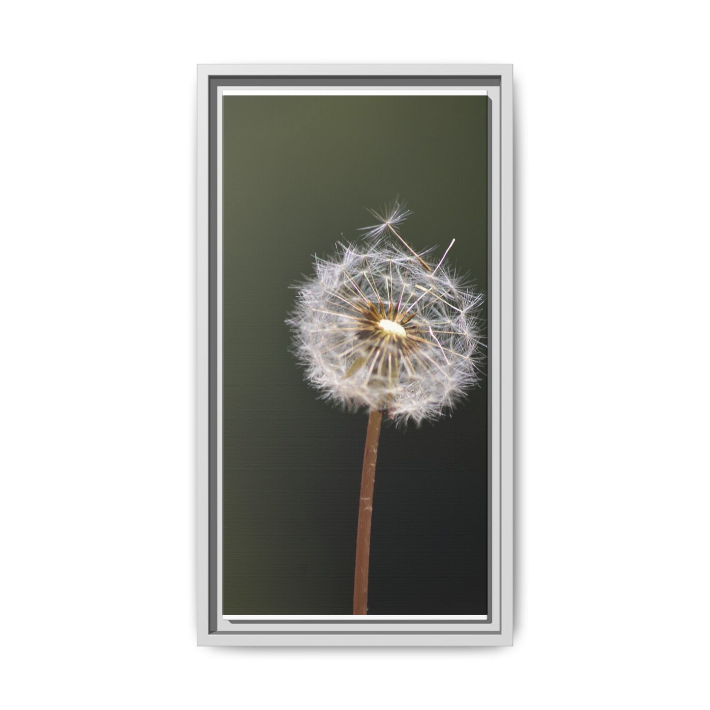 Framed Dandelion Canvas Print — Matte Botanical Wall Art