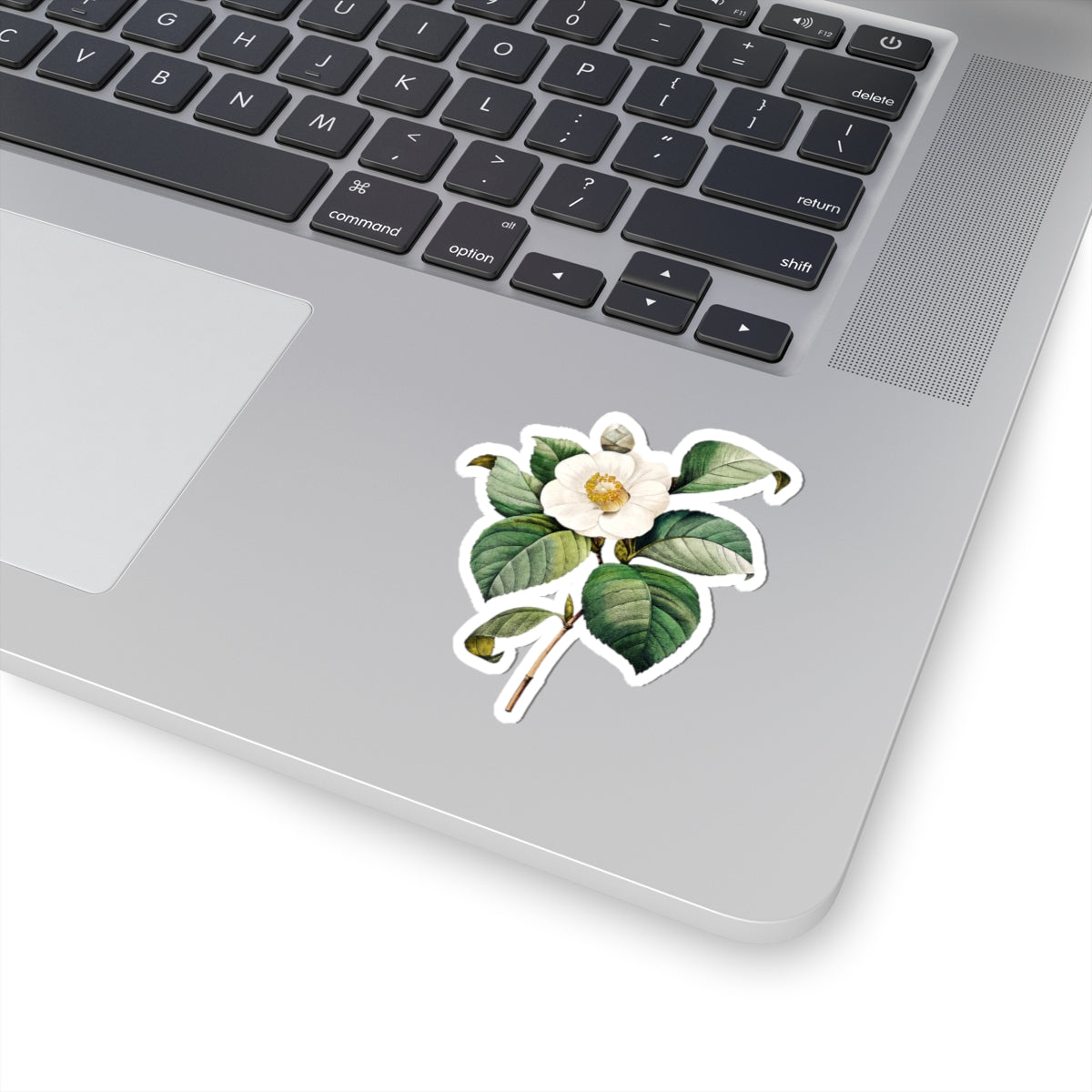Vintage Camellia Flower Sticker — Botanical Kiss-Cut Decal for Laptops & Journals
