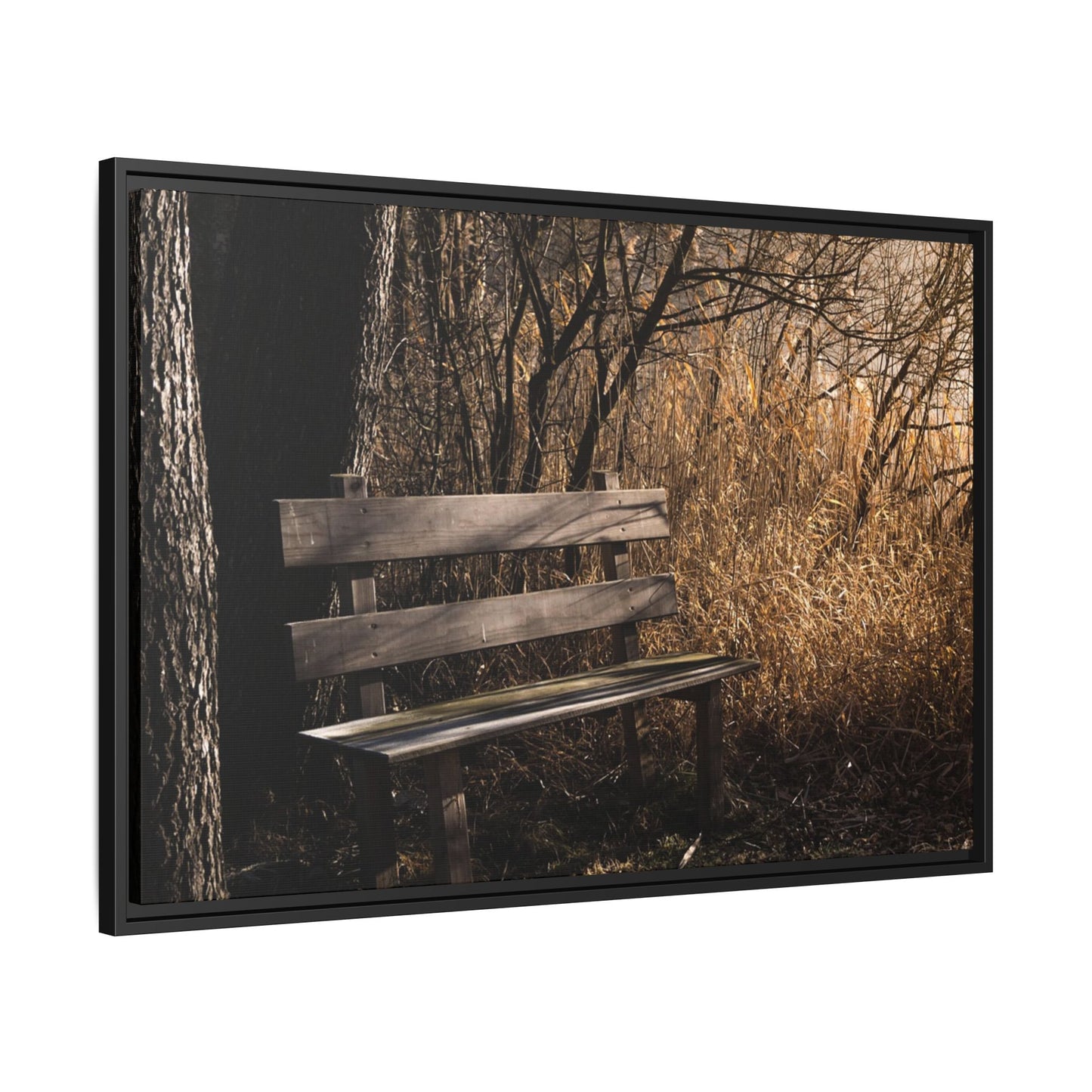 Framed Matte Canvas Print — Autumn Park Bench Photography
