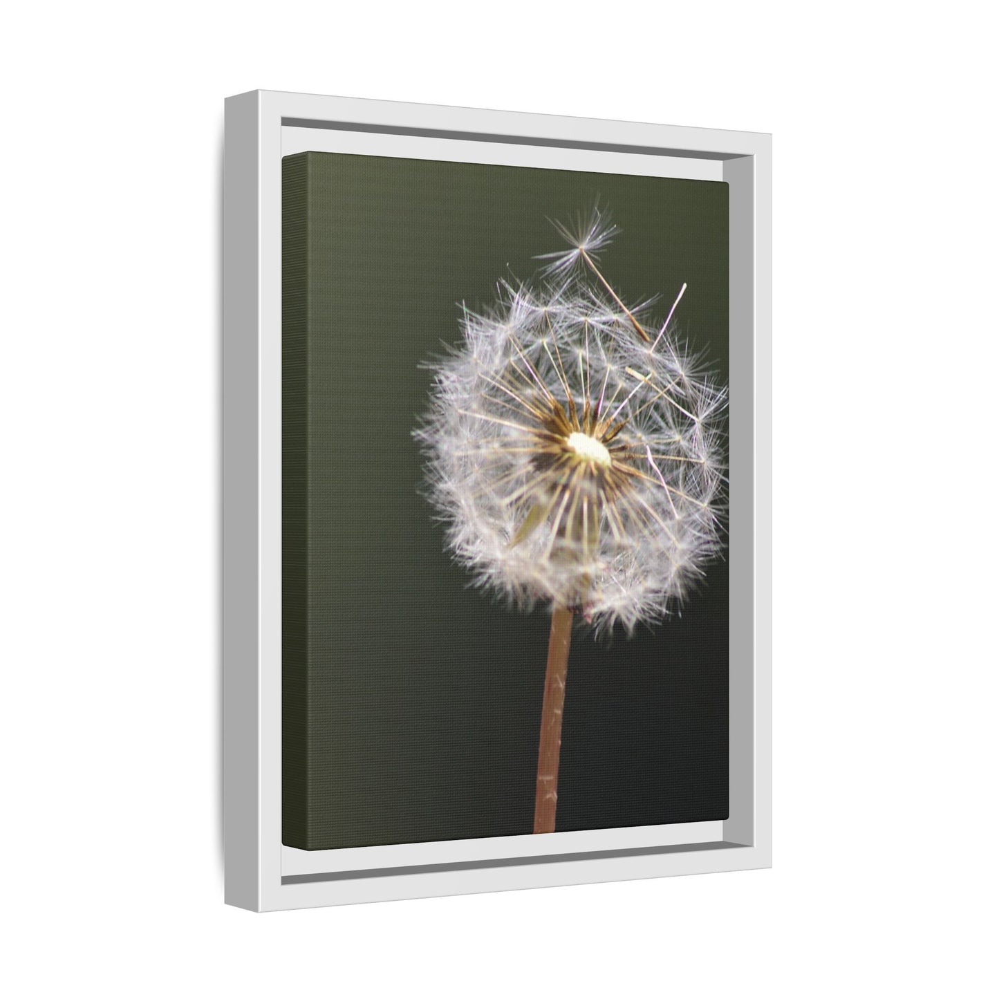 Framed Dandelion Canvas Print — Matte Botanical Wall Art