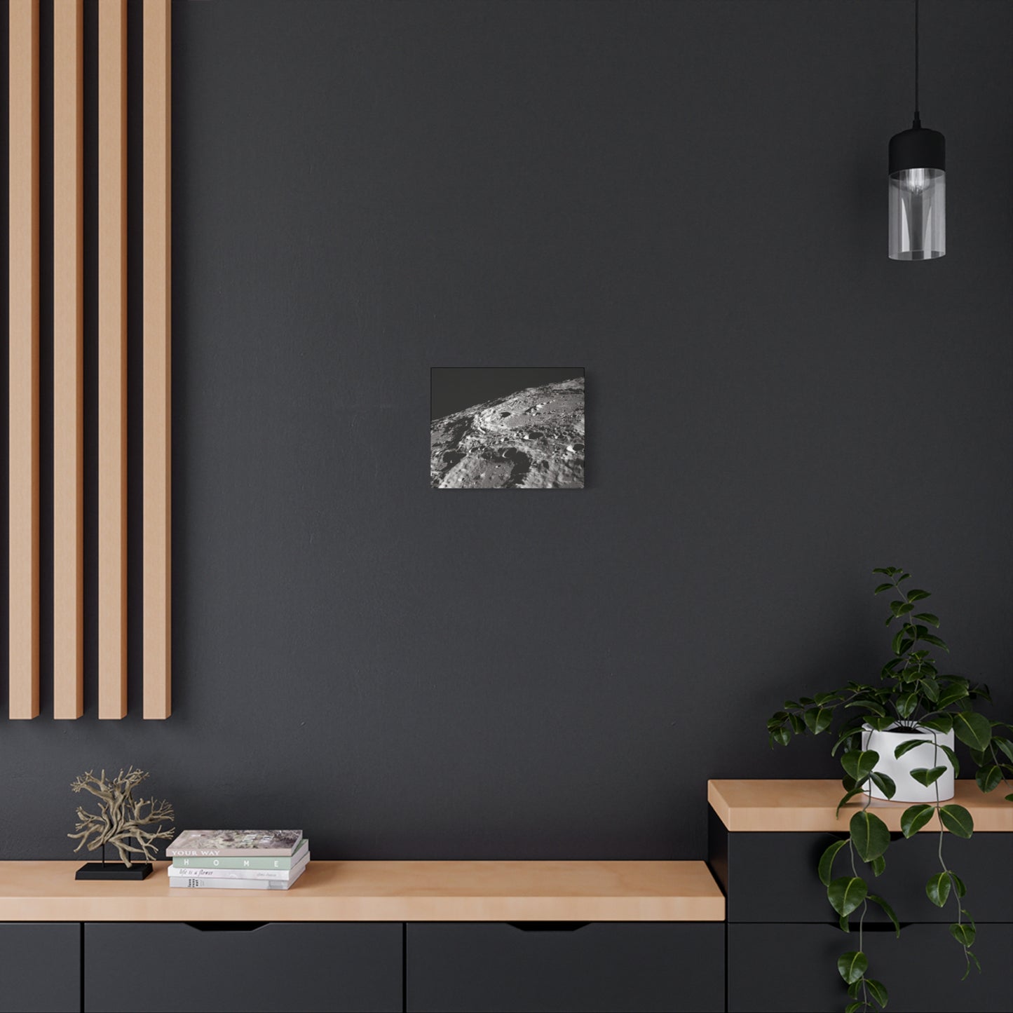 Lunar Surface Matte Canvas Print — Black & White Moon Crater Wall Art