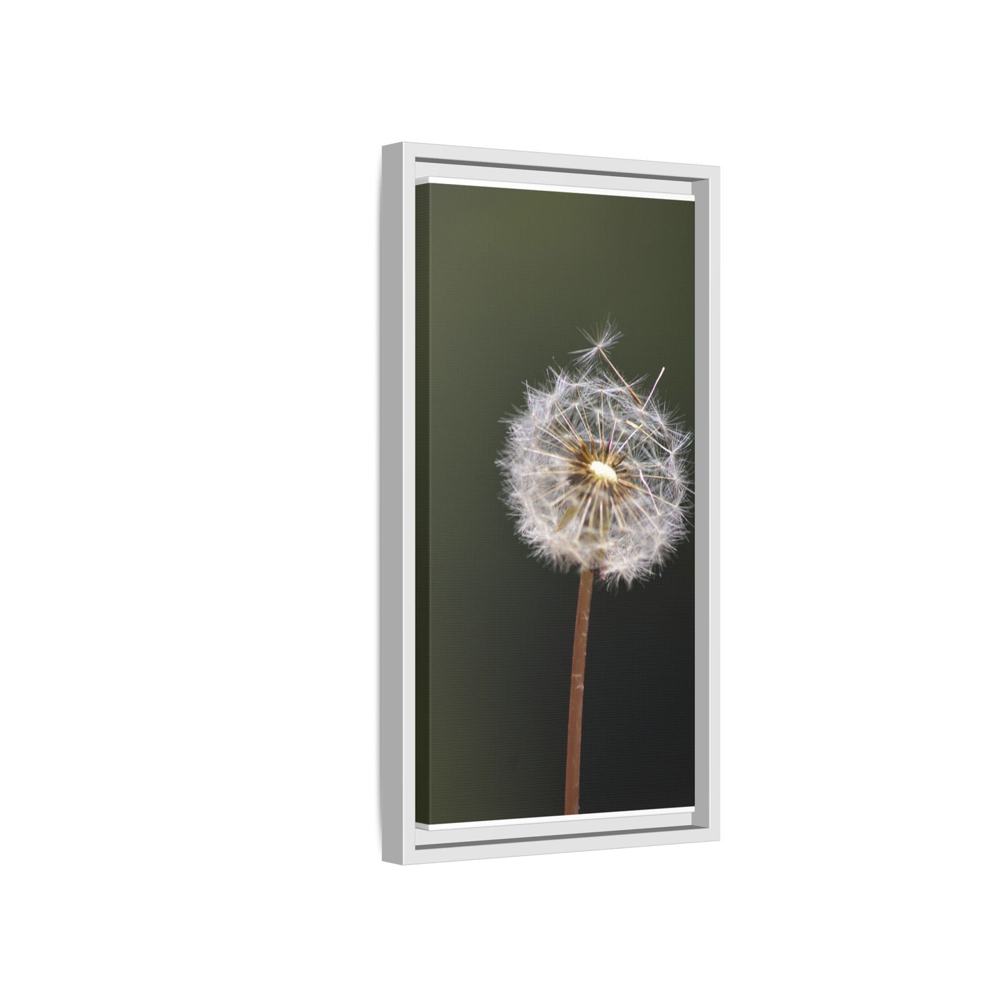 Framed Dandelion Canvas Print — Matte Botanical Wall Art