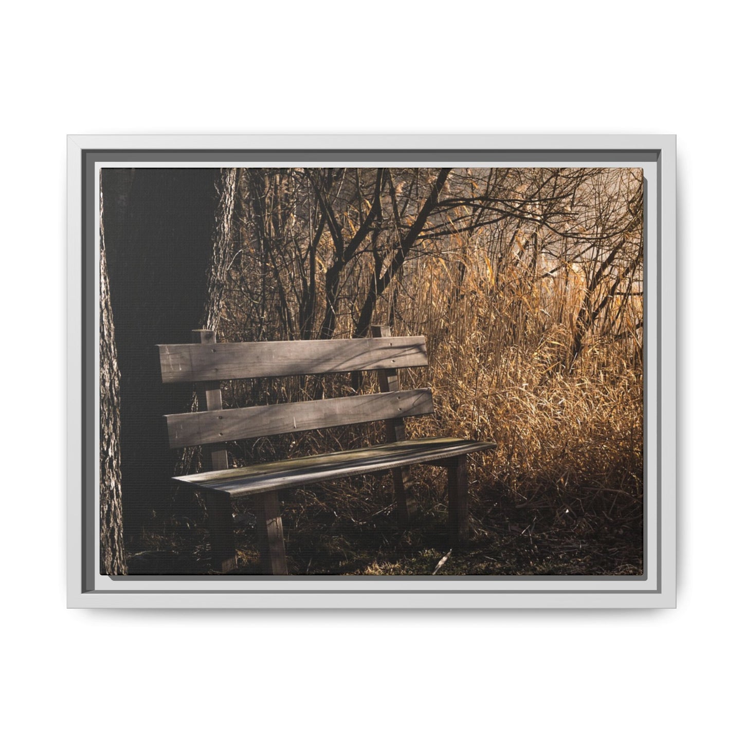 Framed Matte Canvas Print — Autumn Park Bench Photography
