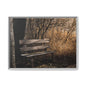 Framed Matte Canvas Print — Autumn Park Bench Photography
