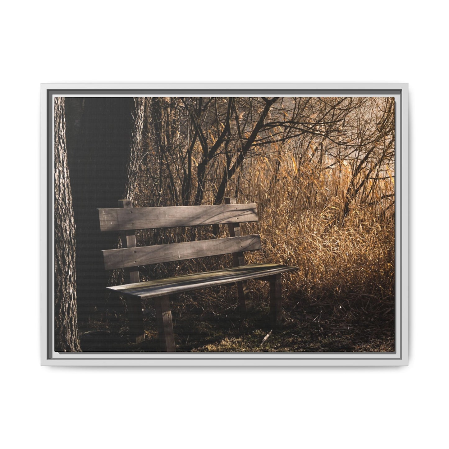 Framed Matte Canvas Print — Autumn Park Bench Photography