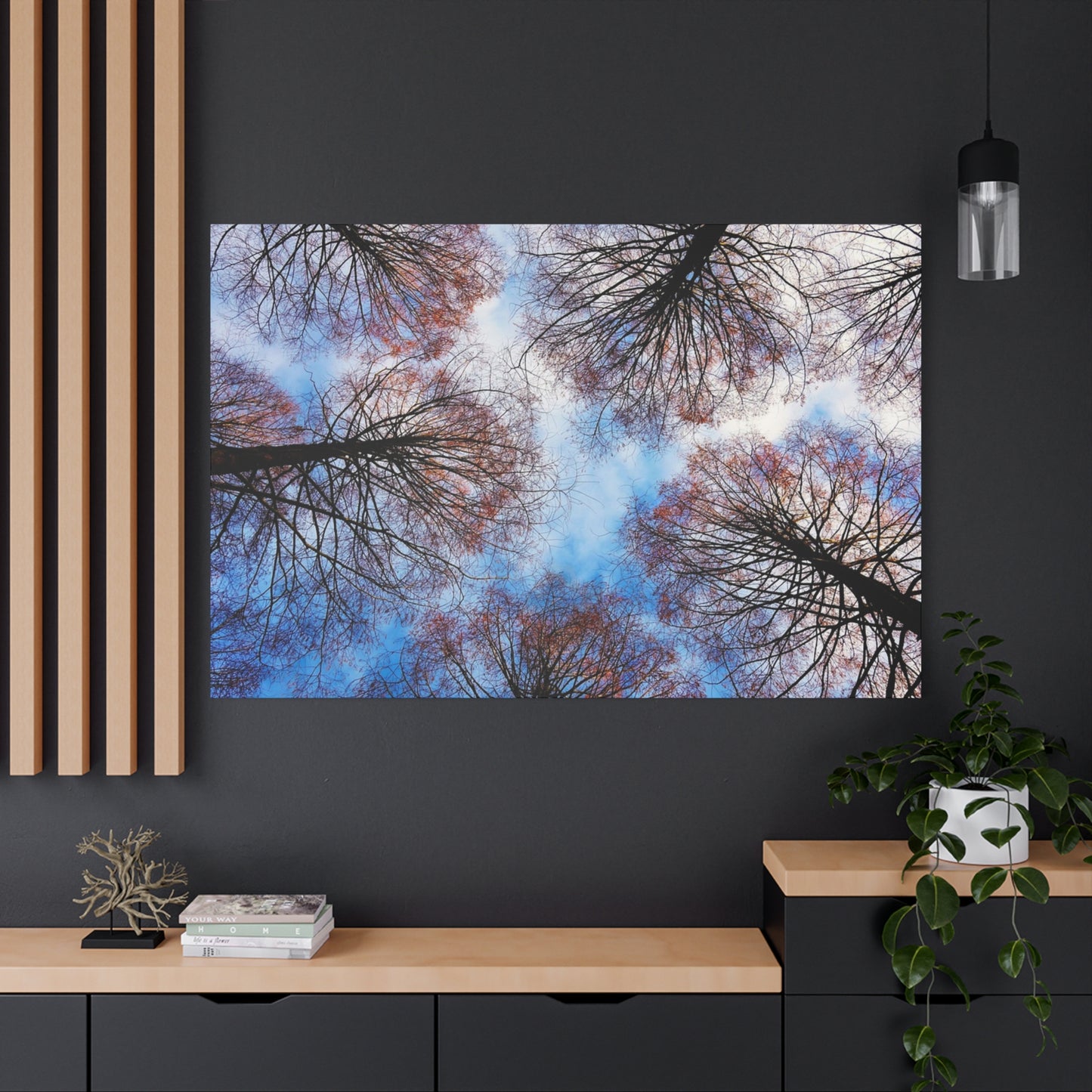 Canopy Sky Canvas Print — Winter Tree Tops Wall Art