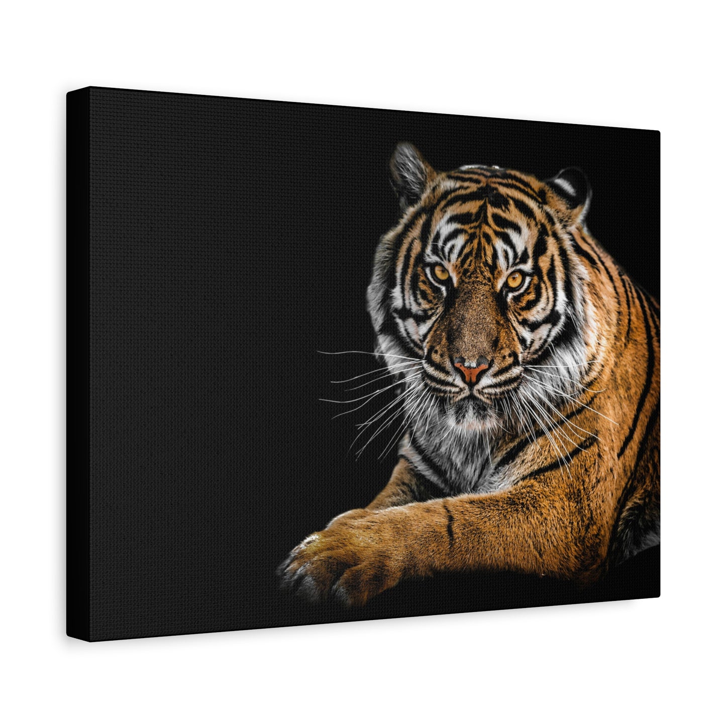 Majestic Tiger Canvas Art, Perfect for Animal Lovers