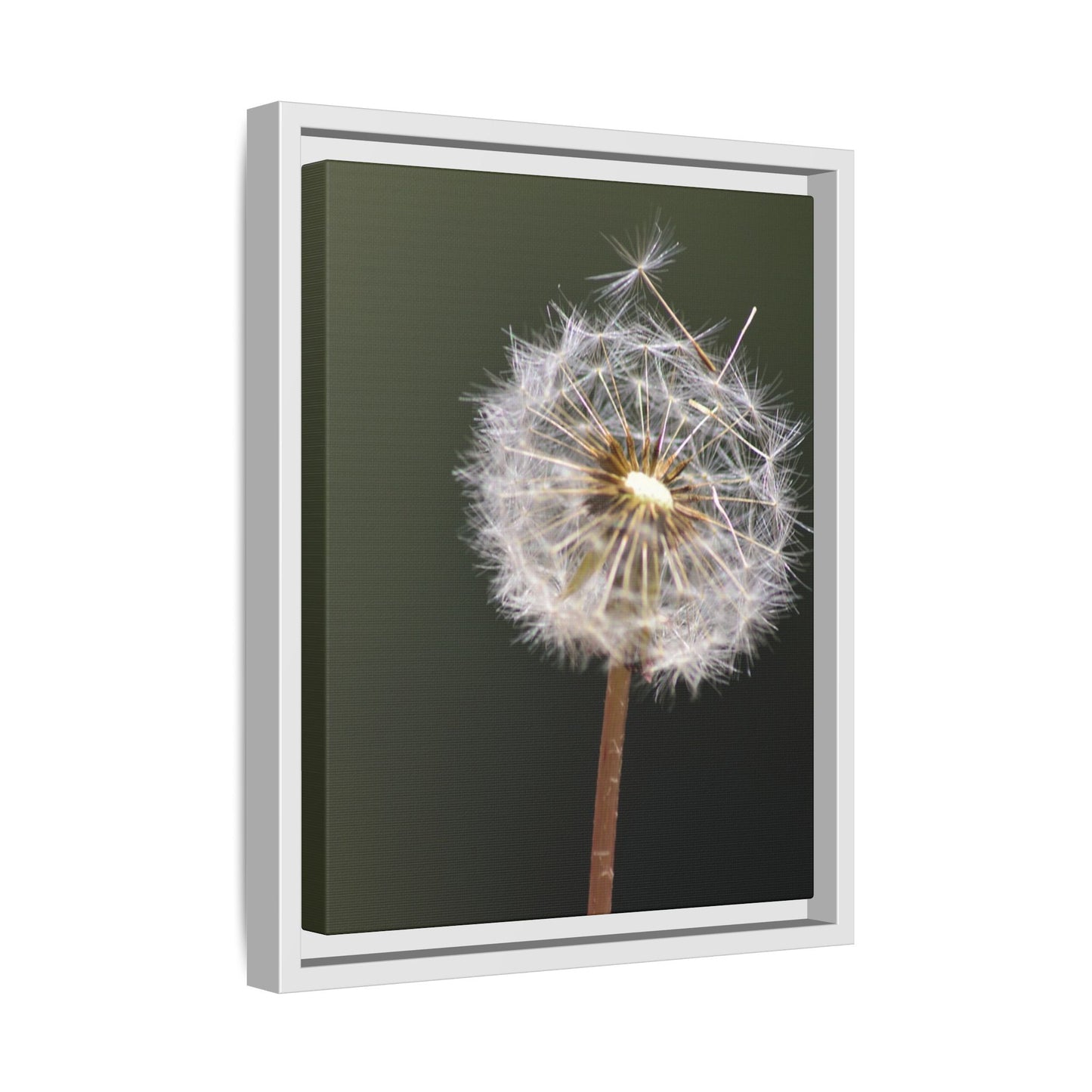 Framed Dandelion Canvas Print — Matte Botanical Wall Art