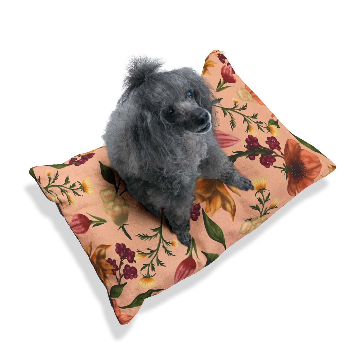 Pet Bed