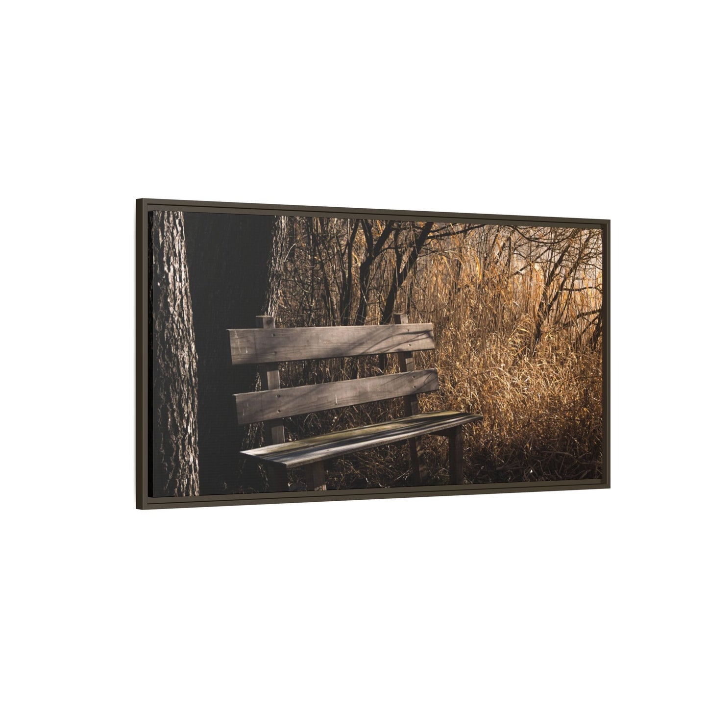 Framed Matte Canvas Print — Autumn Park Bench Photography