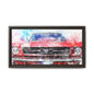 Matte Canvas, Framed Mustang Car