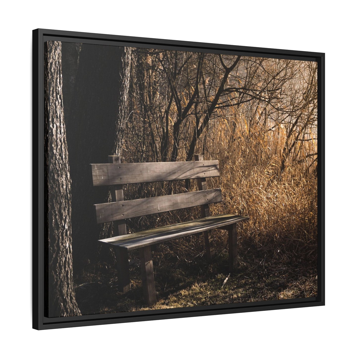 Framed Matte Canvas Print — Autumn Park Bench Photography