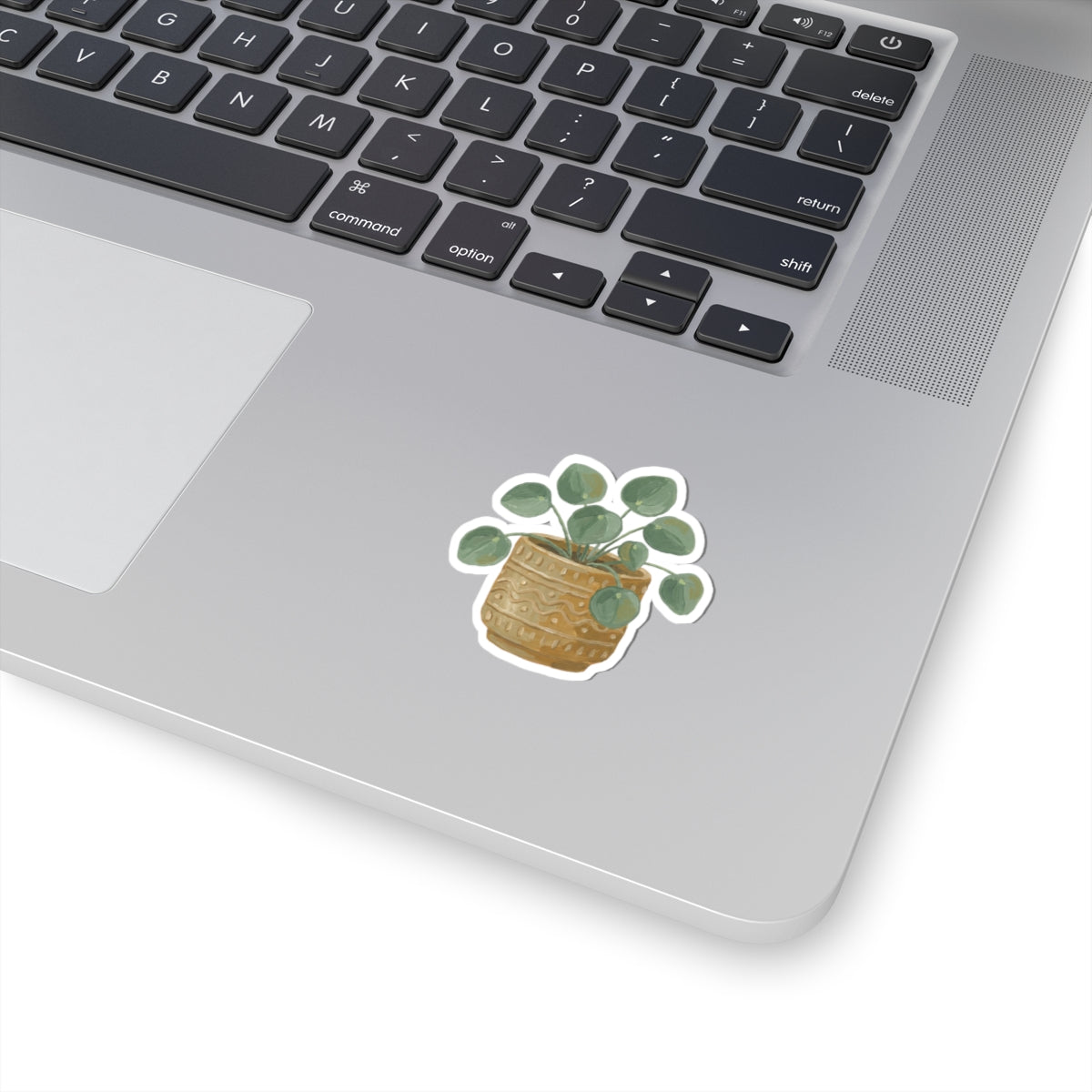 Pilea Plant Sticker — Watercolor Potted Greenery Kiss-Cut Sticker