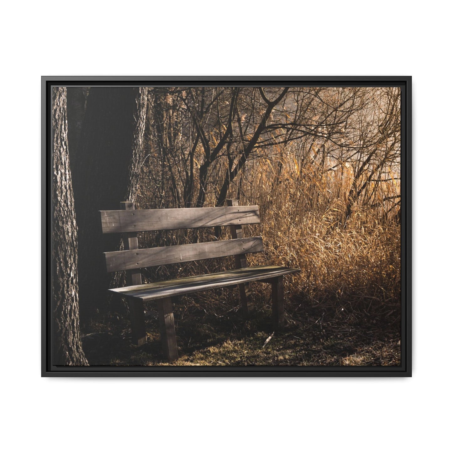 Framed Matte Canvas Print — Autumn Park Bench Photography