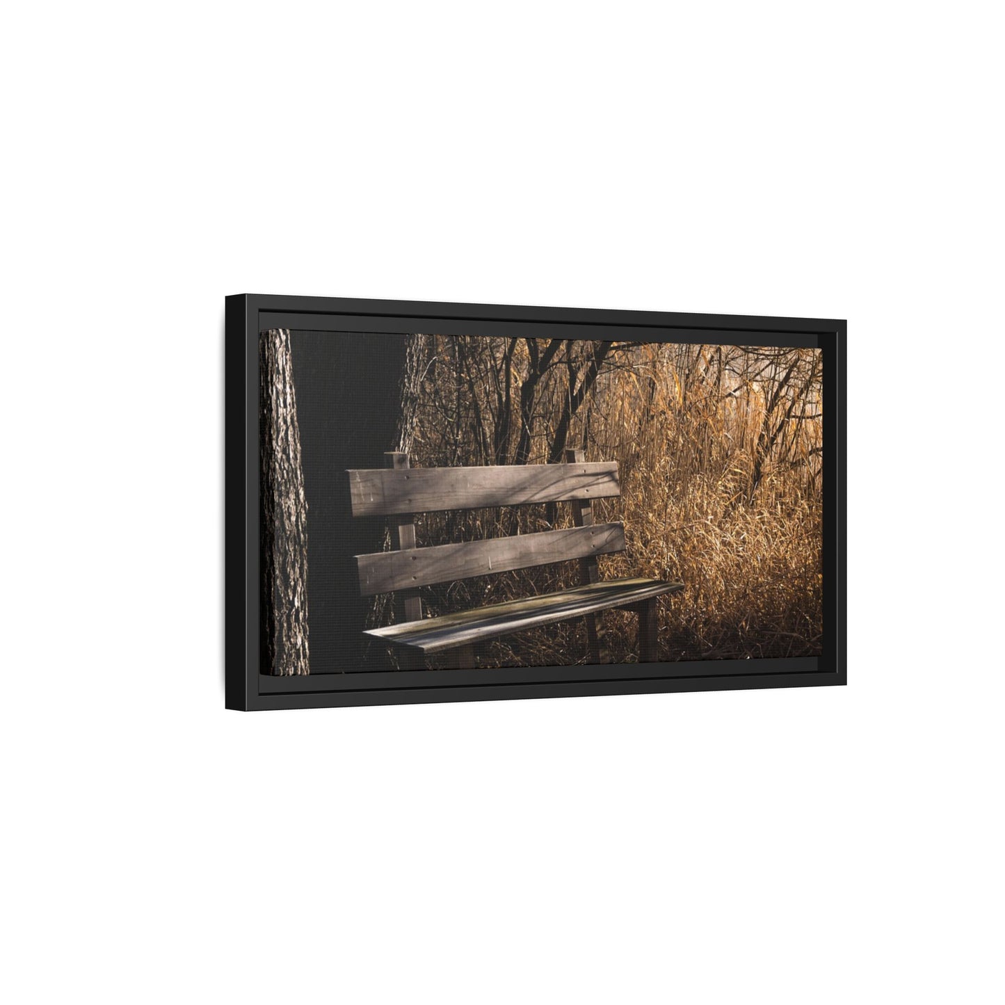 Framed Matte Canvas Print — Autumn Park Bench Photography
