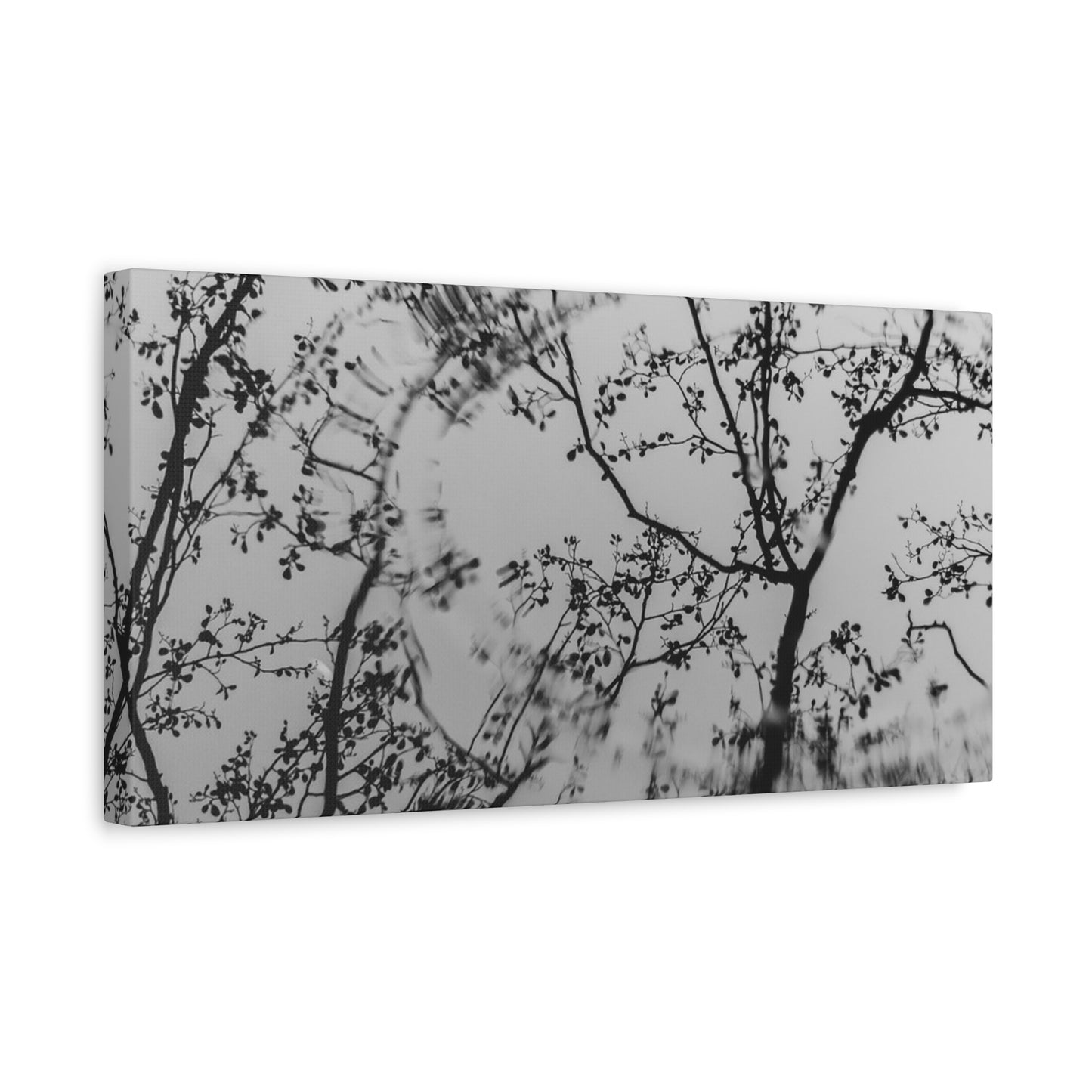 Canvas Wall Art — Monochrome Blurred Ferris Wheel with Tree Silhouettes