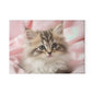 Adorable Kitten Glass Cutting Board  Kitchen Decor