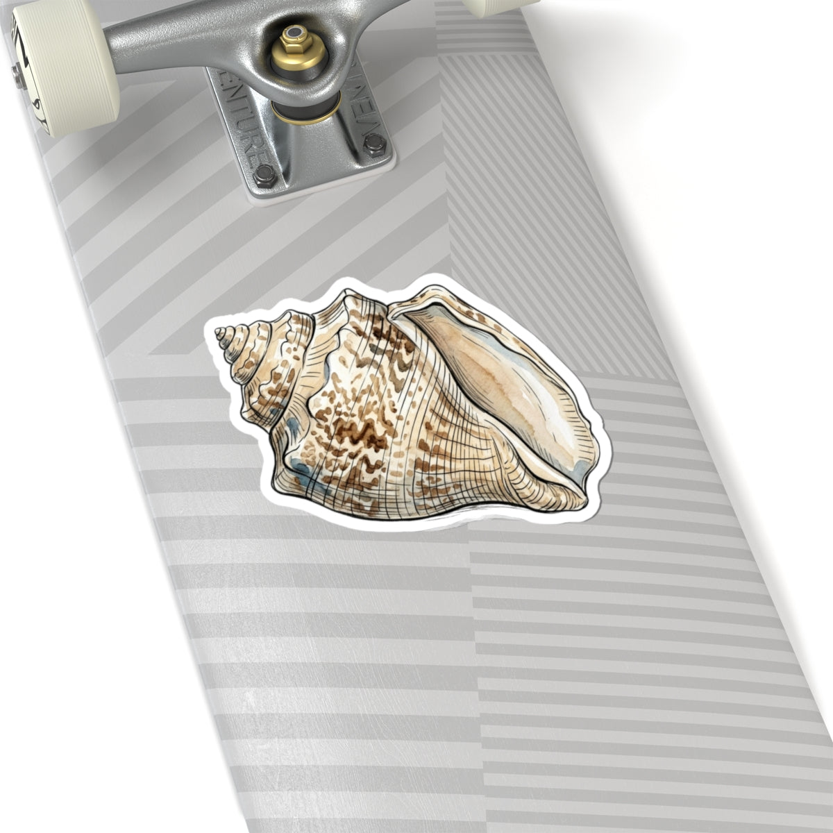 Seashell Kiss-Cut Sticker — Realistic Conch Shell Laptop Decal