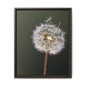 Framed Dandelion Canvas Print — Matte Botanical Wall Art