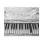 Vintage Piano Keys Matte Canvas Print