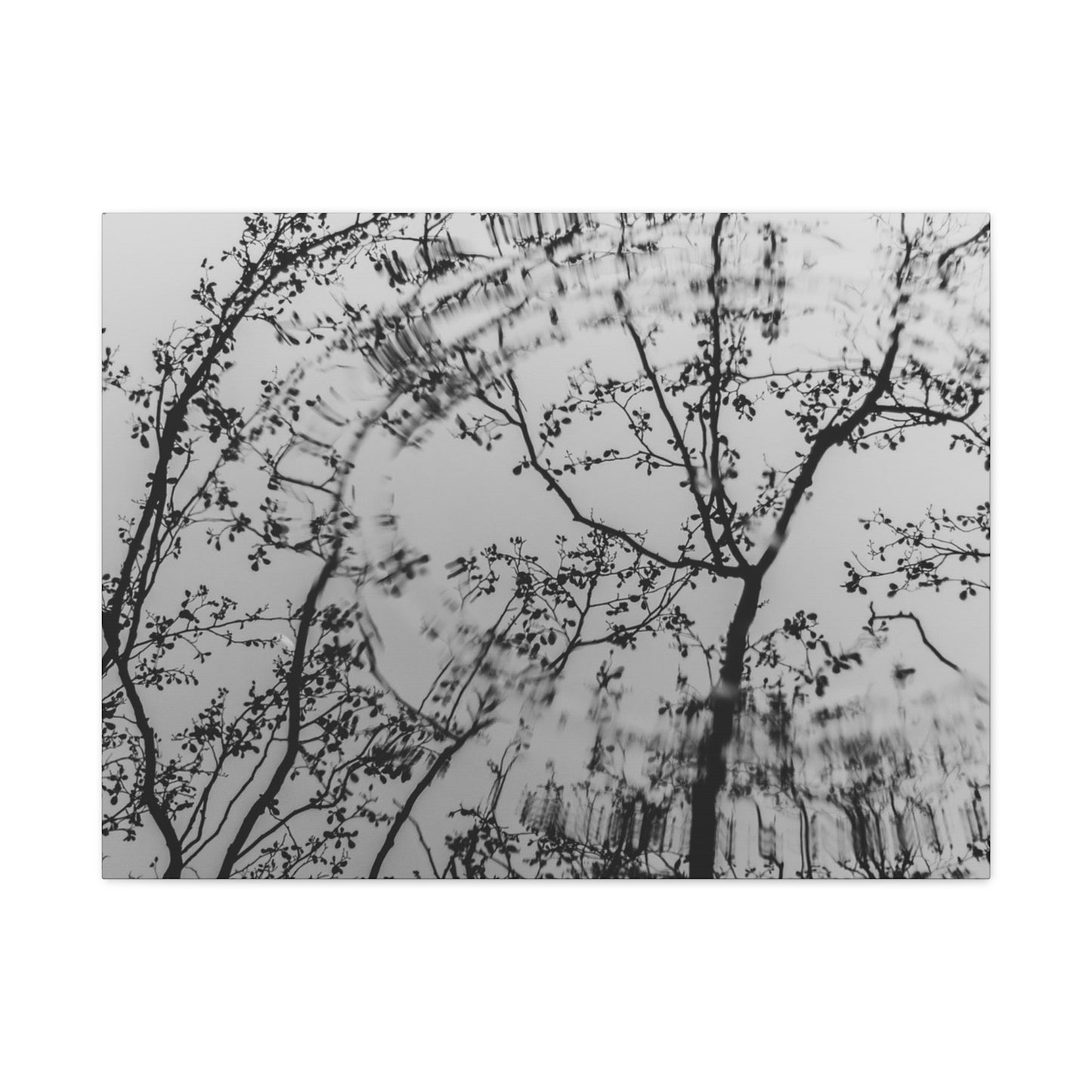 Canvas Wall Art — Monochrome Blurred Ferris Wheel with Tree Silhouettes