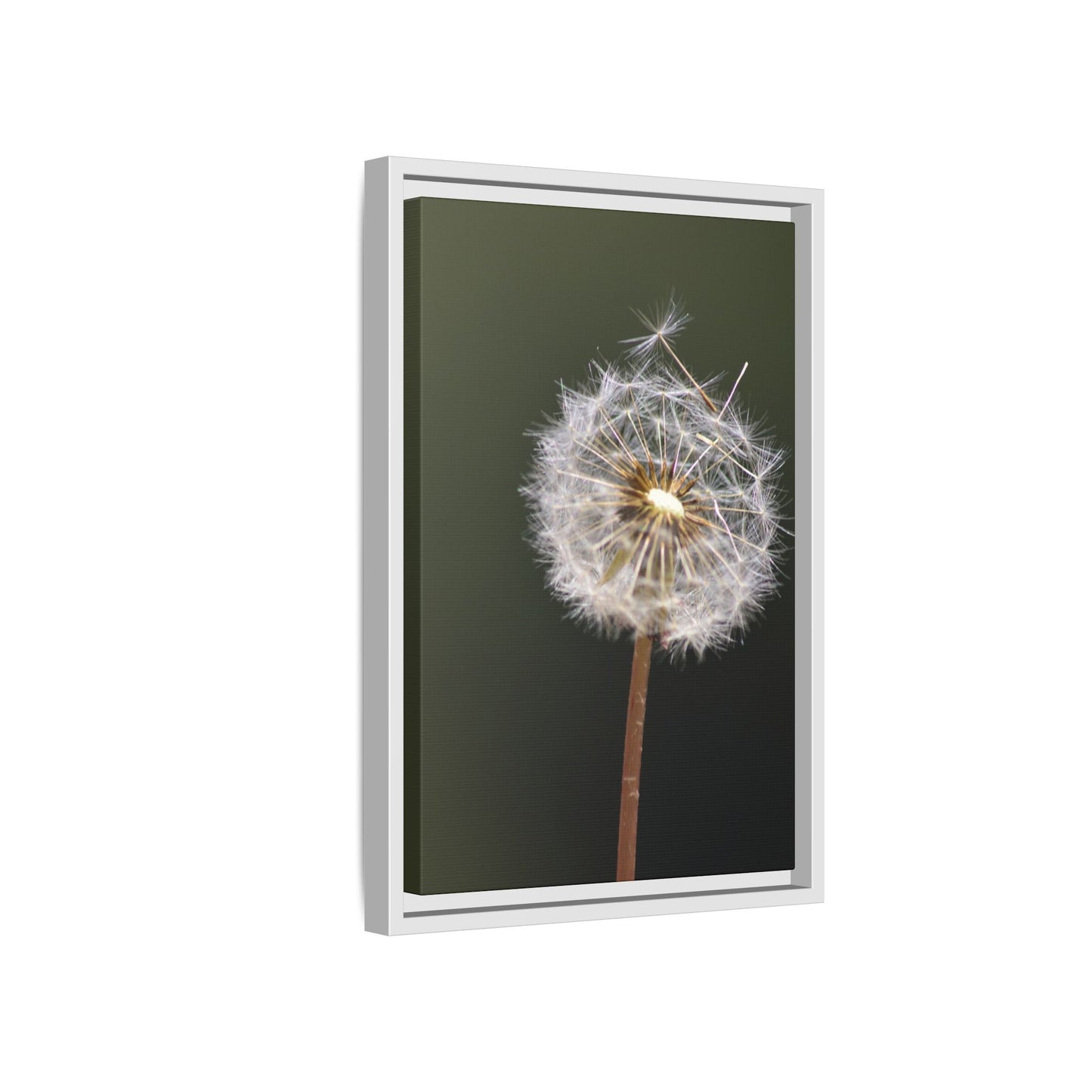 Framed Dandelion Canvas Print — Matte Botanical Wall Art
