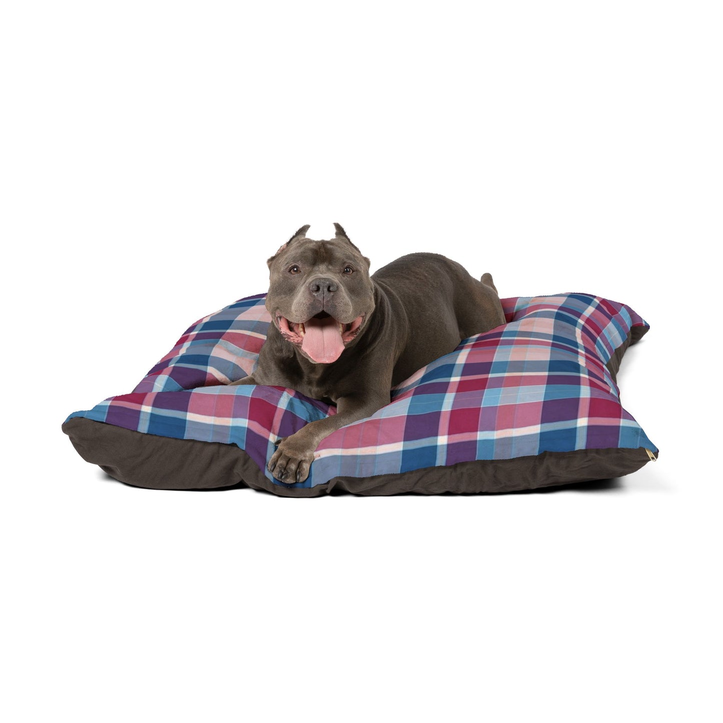 Pet Bed