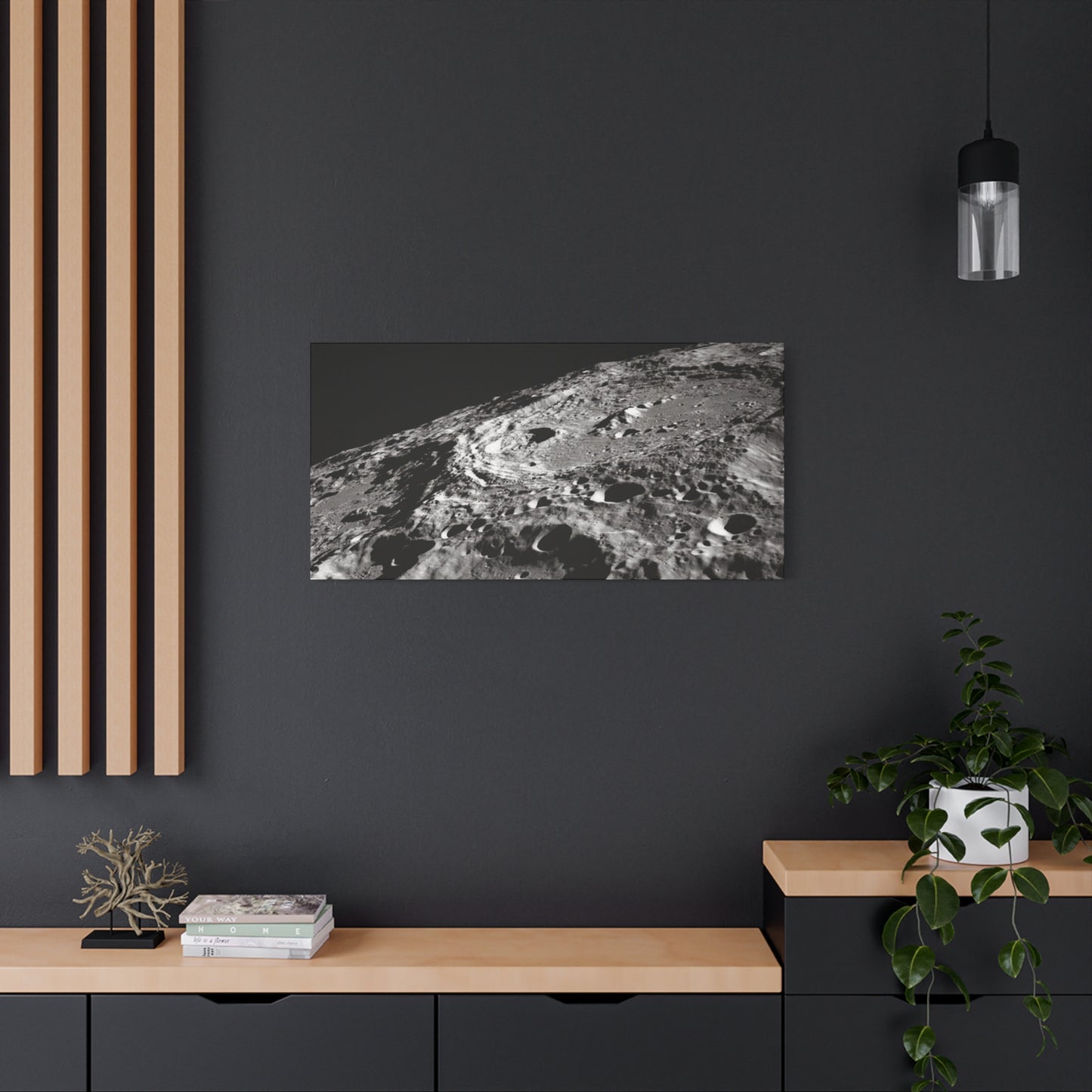 Lunar Surface Matte Canvas Print — Black & White Moon Crater Wall Art