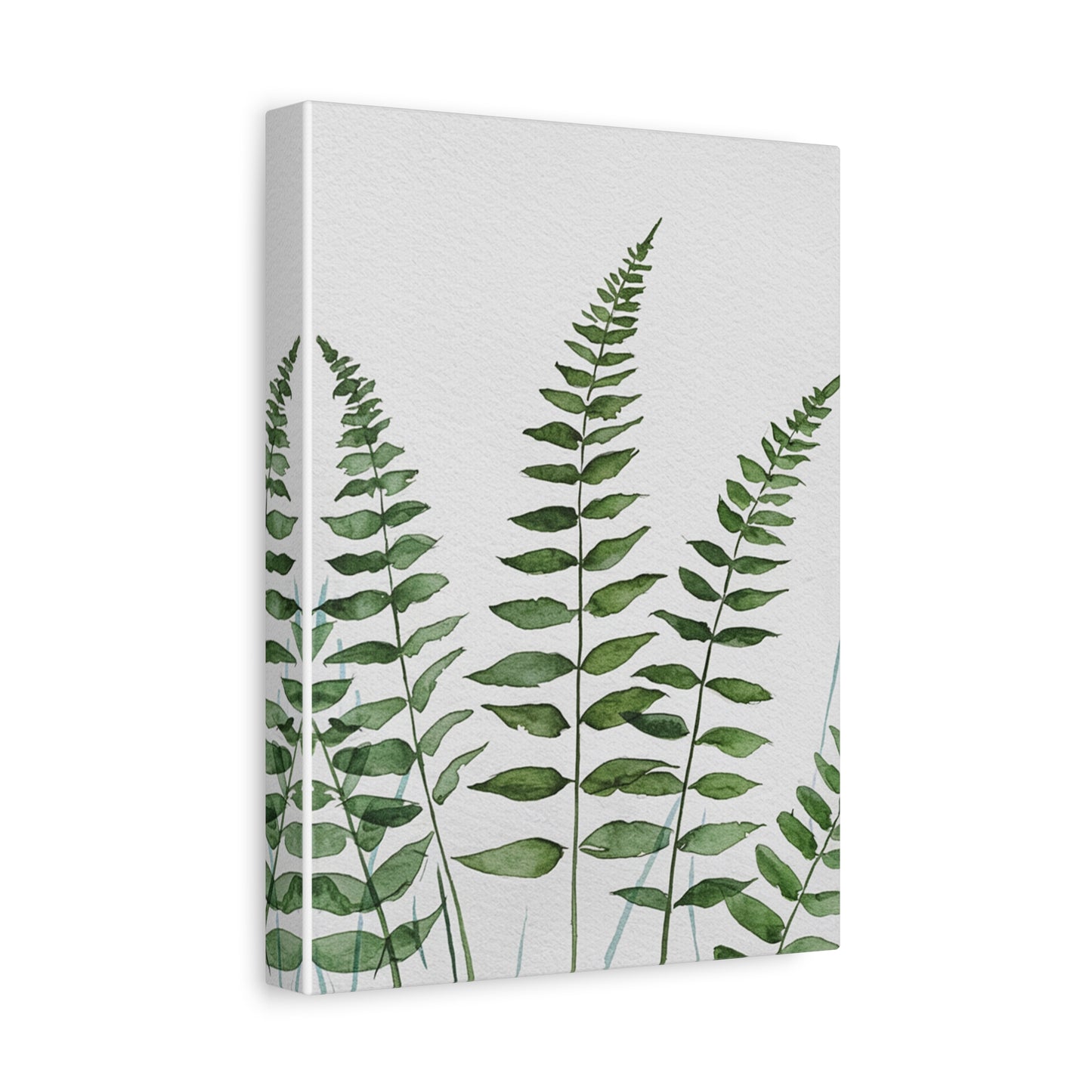 Fern Watercolor Canvas Art – Botanical Matte Stretched Wall Print