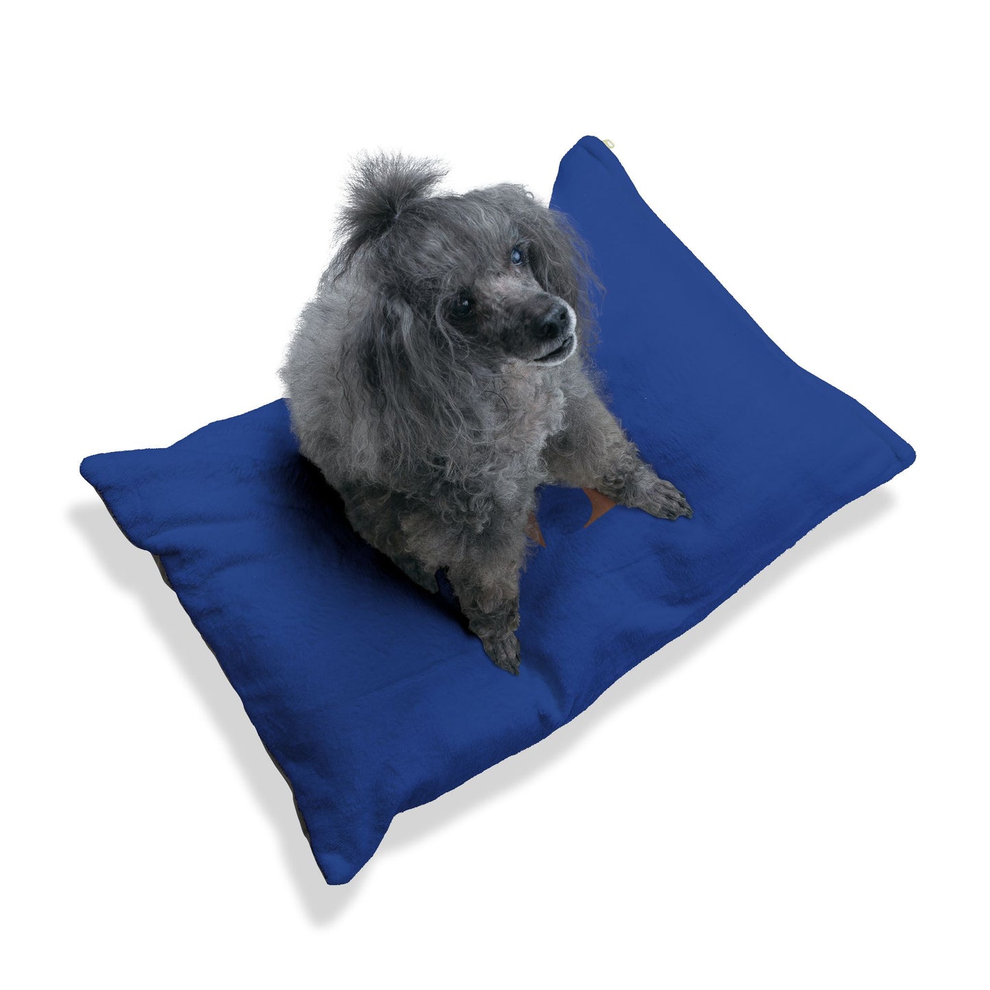 Personalized Luxury Pet Bed with Monogrammed Design, Cozy Dog Bed, Cat Bed, Custom Pet Accessories, Gift for Dog Lovers