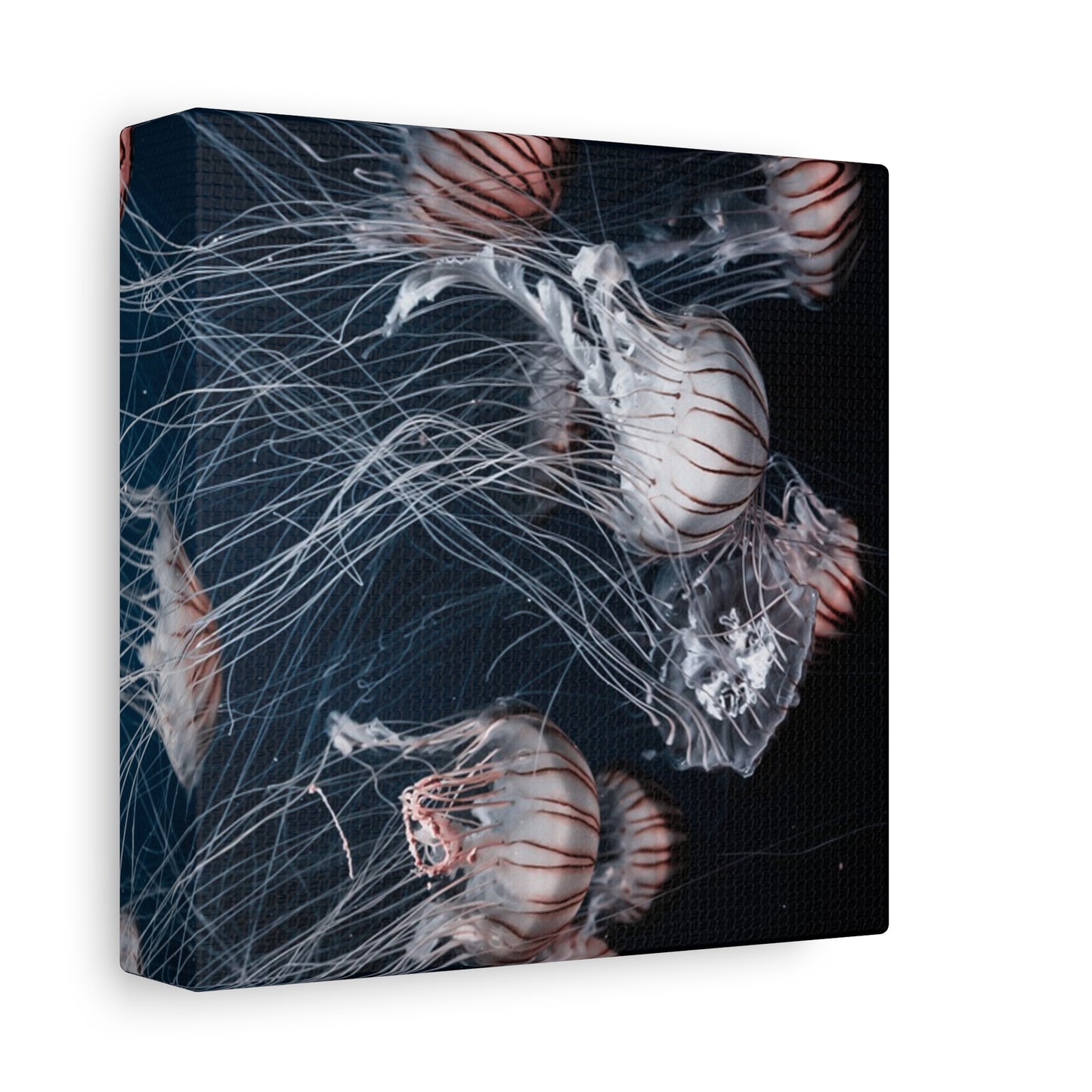 Jellyfish Swarm Matte Stretched Canvas