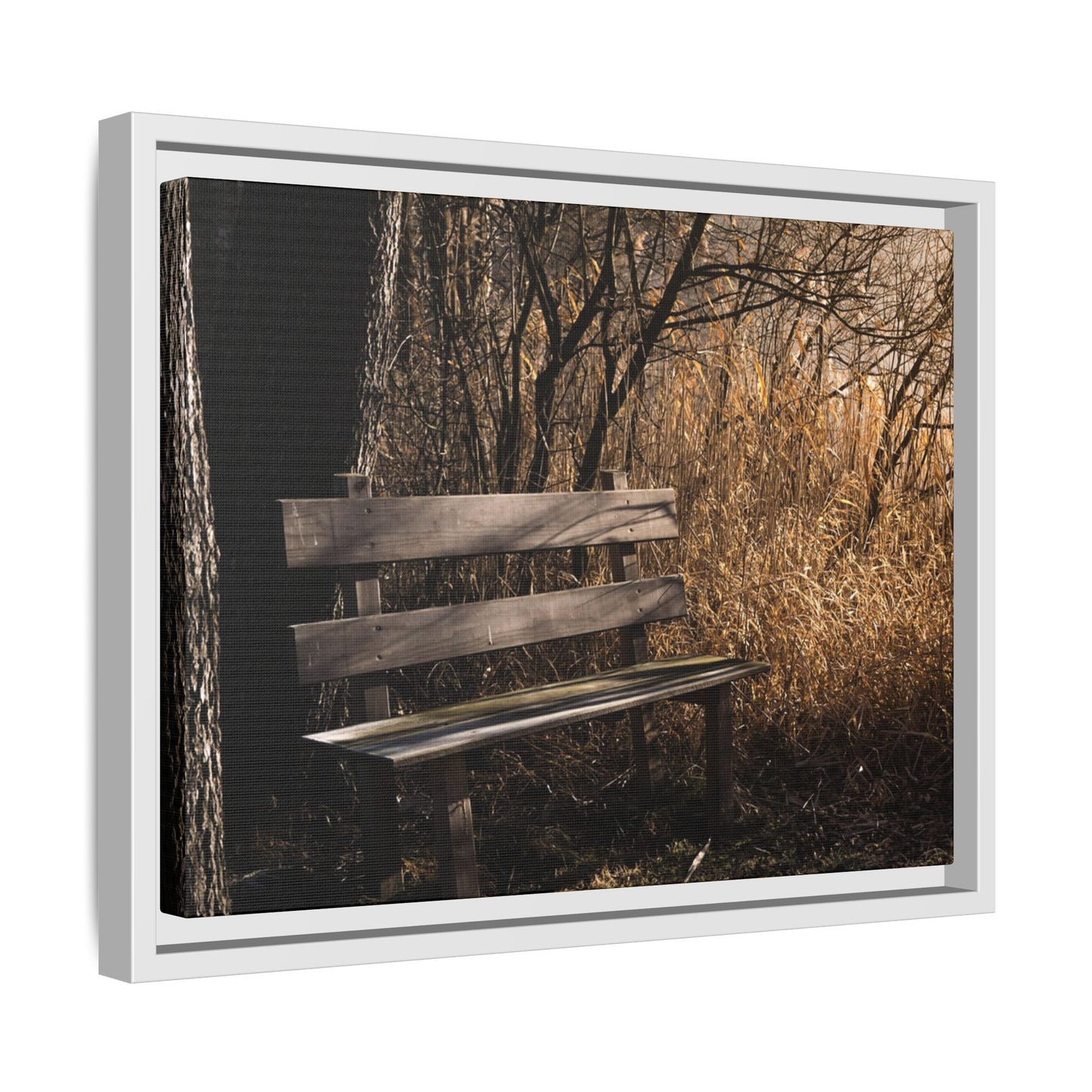 Framed Matte Canvas Print — Autumn Park Bench Photography