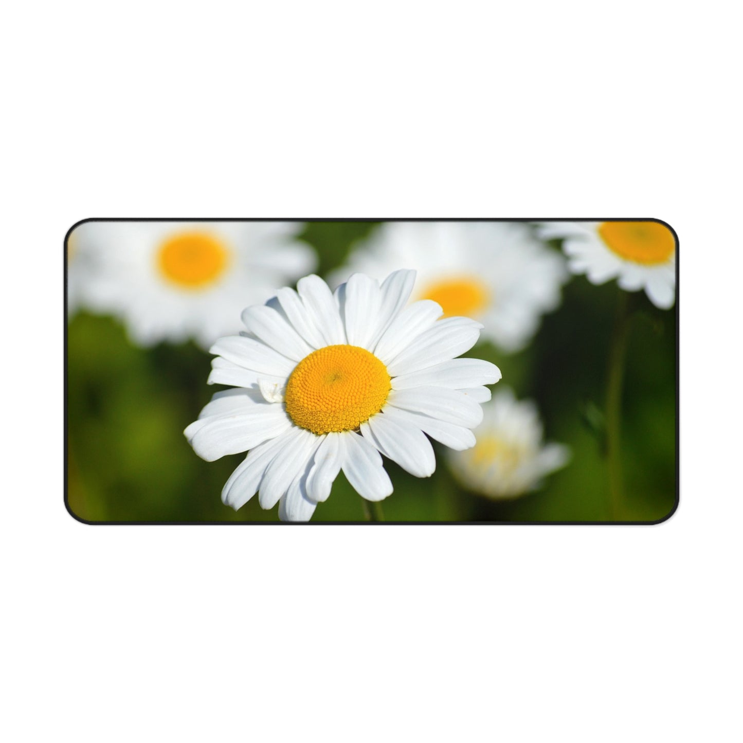 Daisy Field Desk Mat — Floral Mouse Pad Surface for Home Office