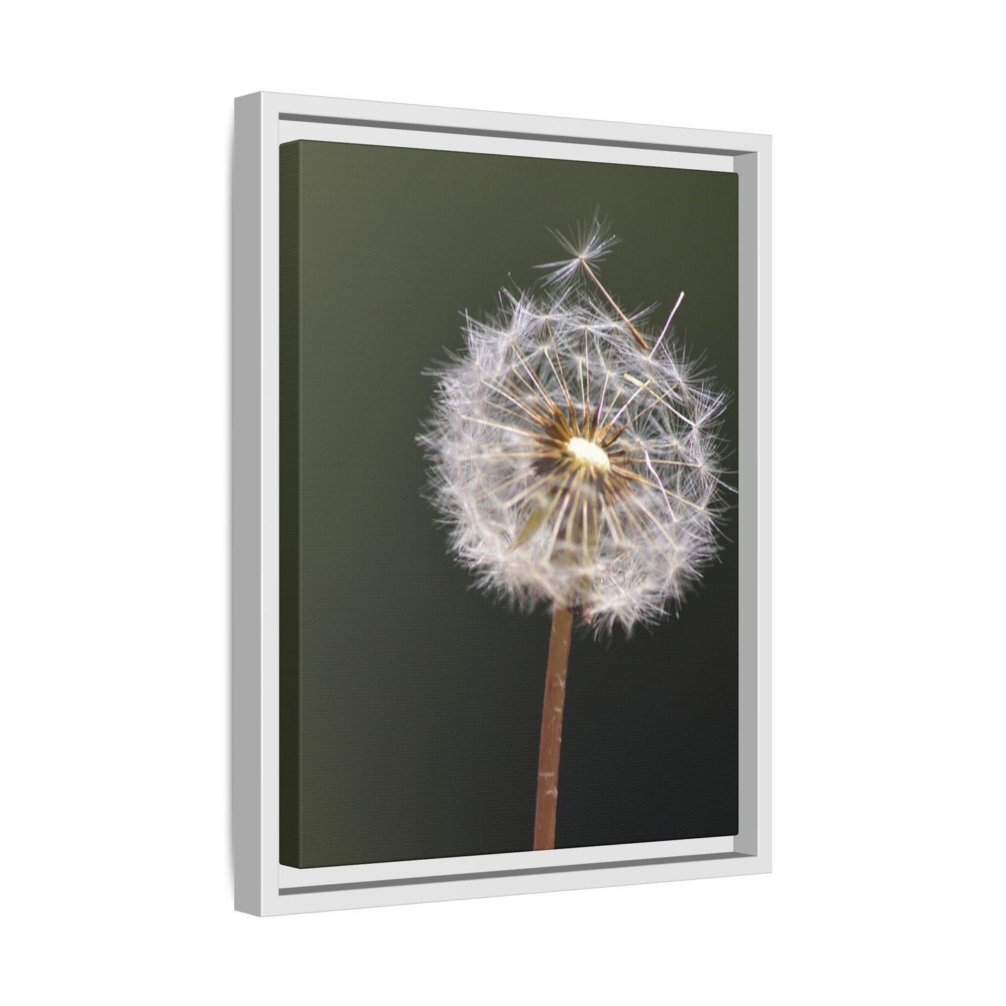 Framed Dandelion Canvas Print — Matte Botanical Wall Art