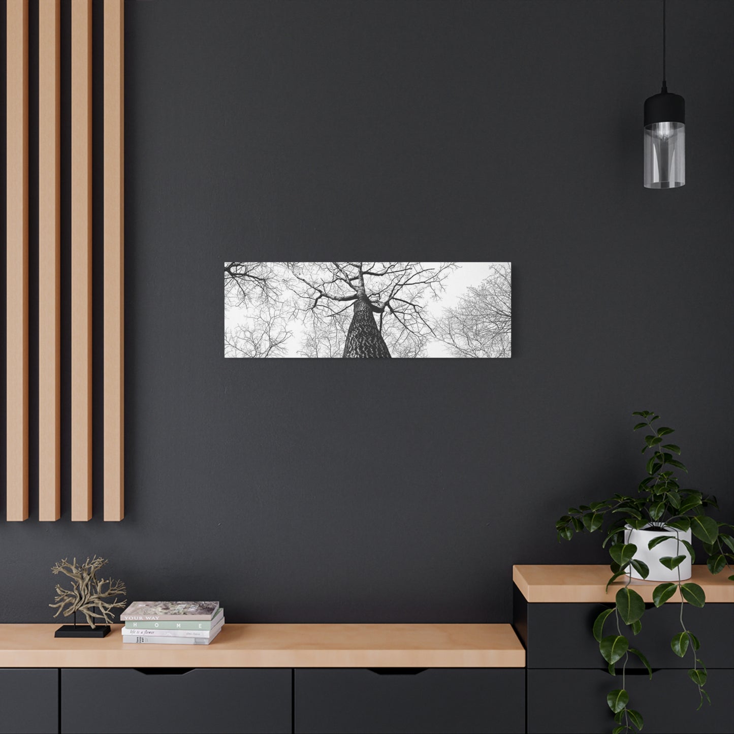 Black & White Tree Canopy Matte Canvas Wall Art — Upward Forest Photography