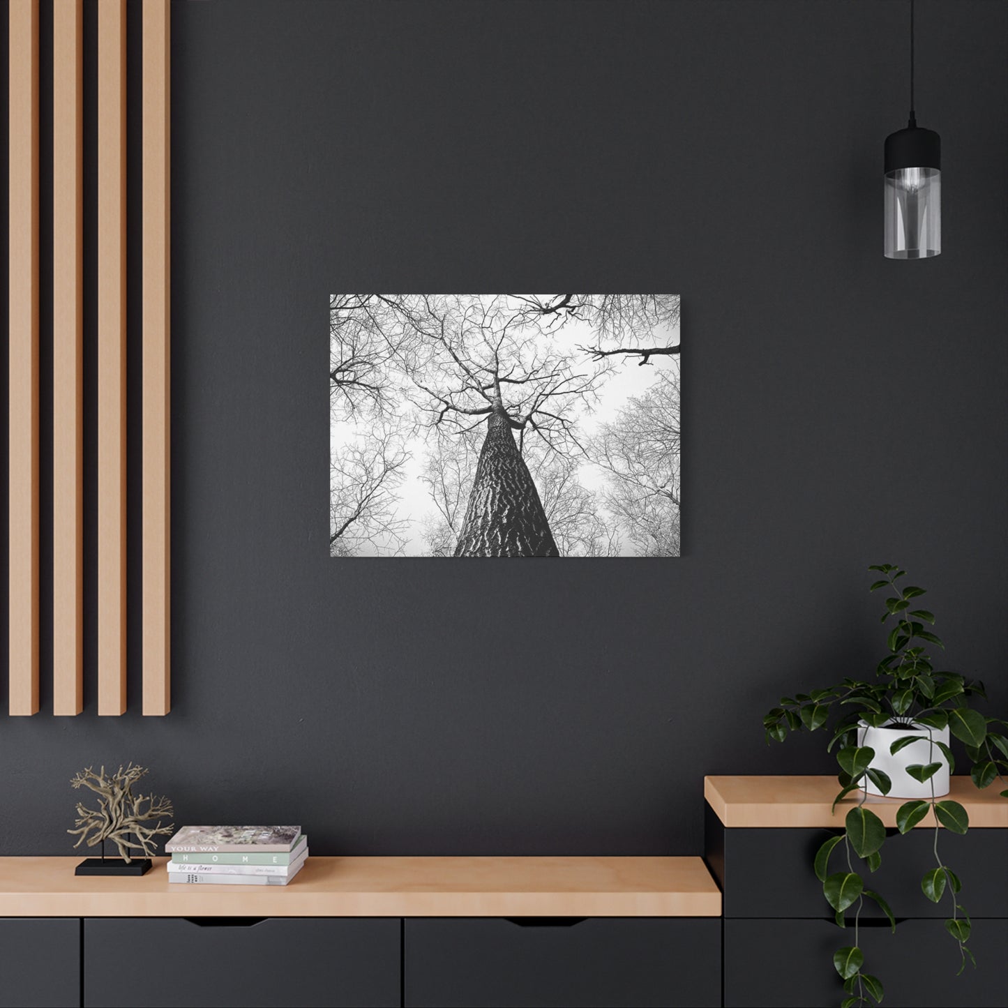 Black & White Tree Canopy Matte Canvas Wall Art — Upward Forest Photography
