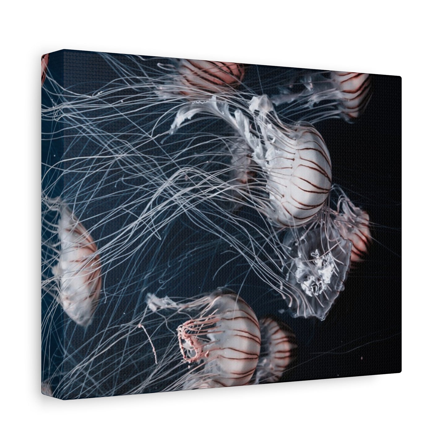 Jellyfish Swarm Matte Stretched Canvas