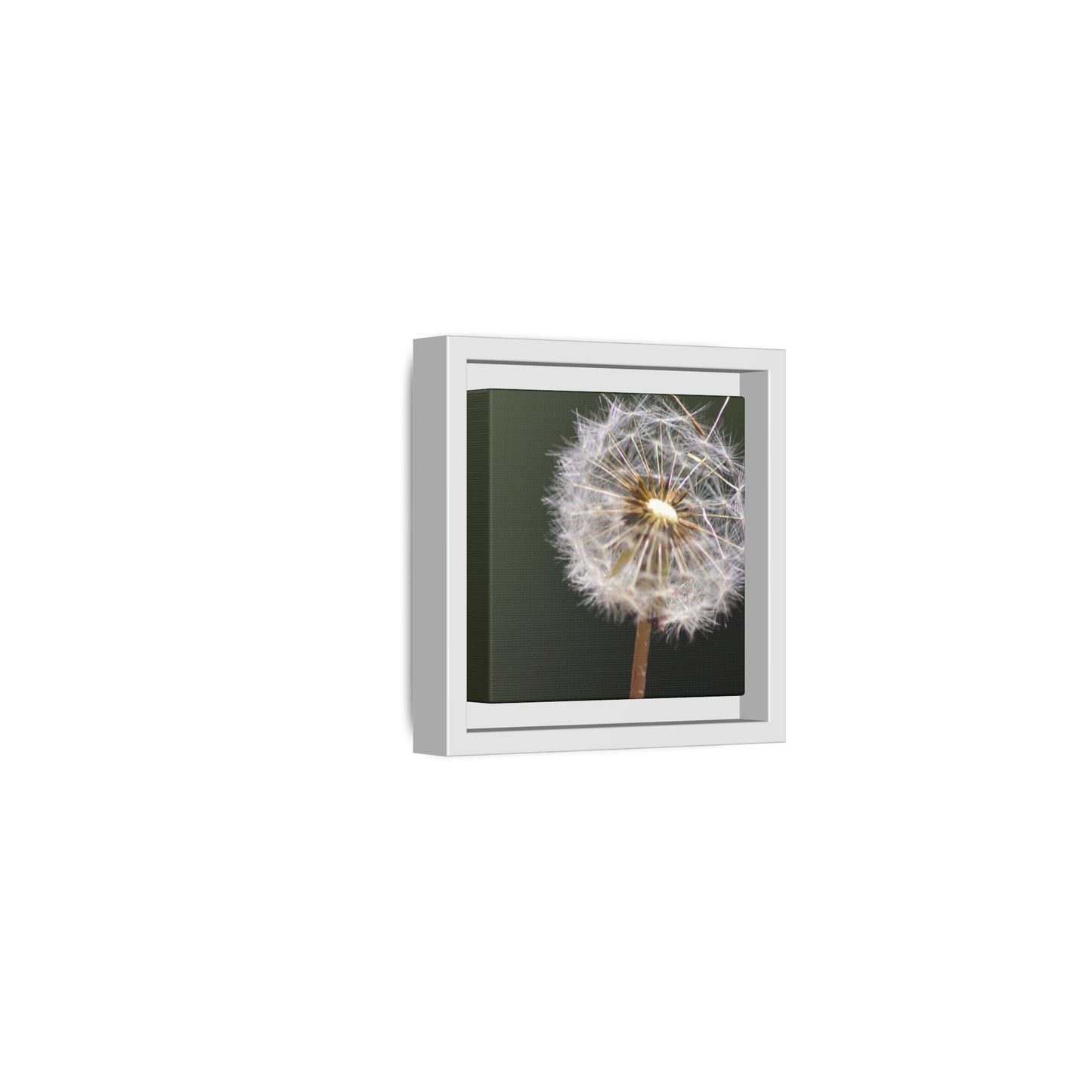 Framed Dandelion Canvas Print — Matte Botanical Wall Art
