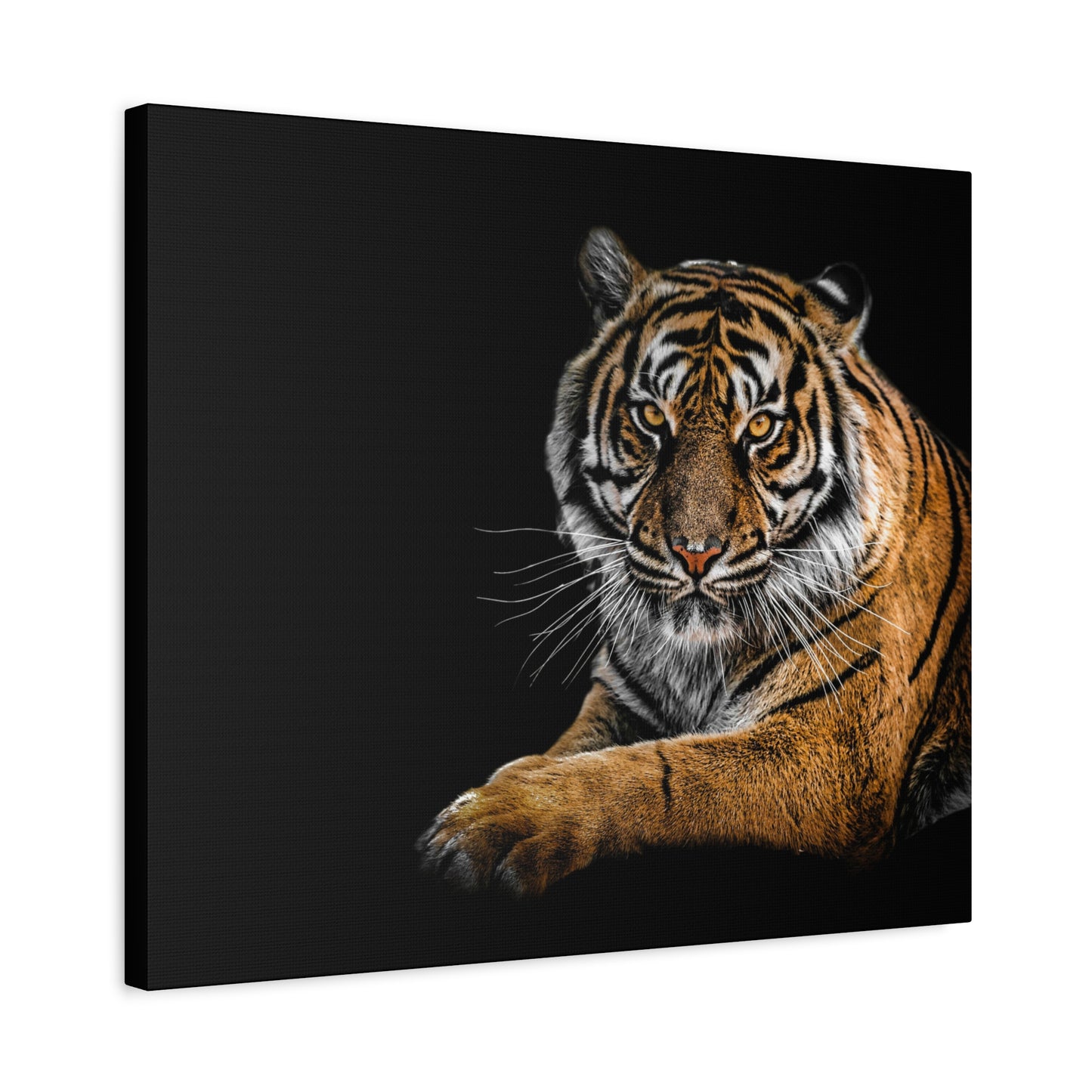 Majestic Tiger Canvas Art, Perfect for Animal Lovers