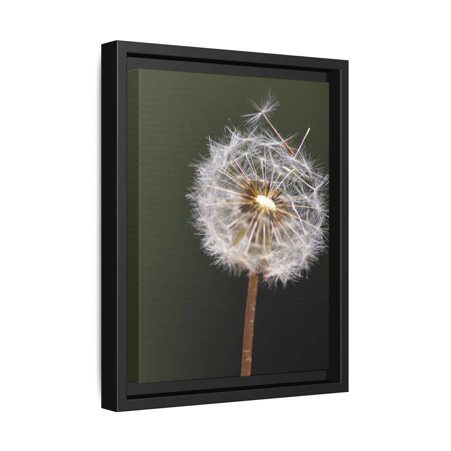 Framed Dandelion Canvas Print — Matte Botanical Wall Art