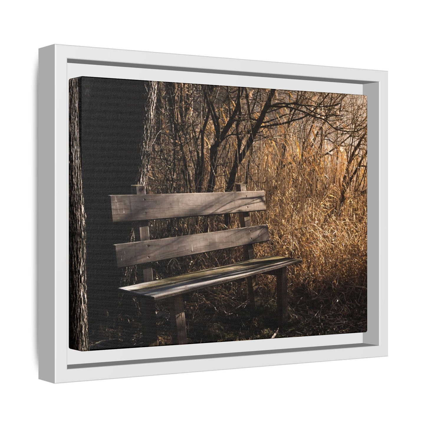 Framed Matte Canvas Print — Autumn Park Bench Photography