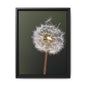 Framed Dandelion Canvas Print — Matte Botanical Wall Art