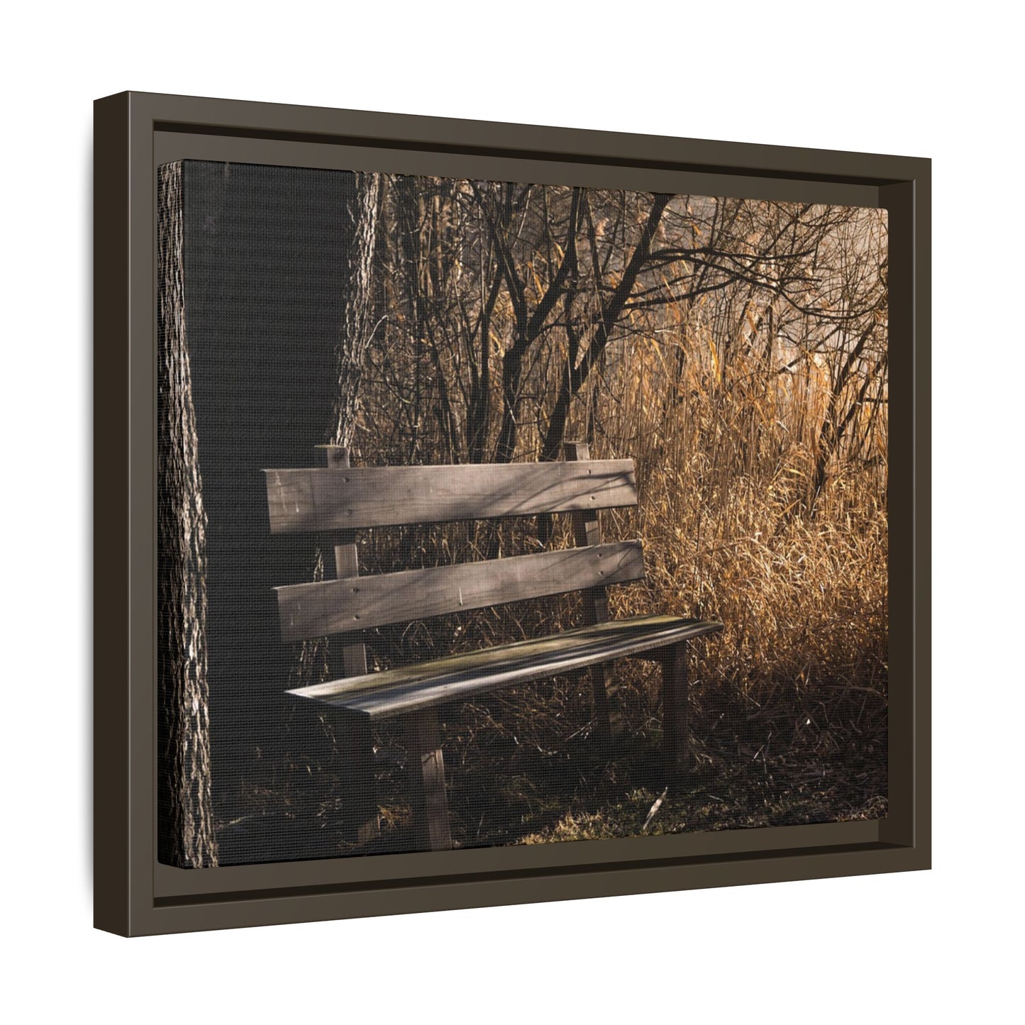 Framed Matte Canvas Print — Autumn Park Bench Photography